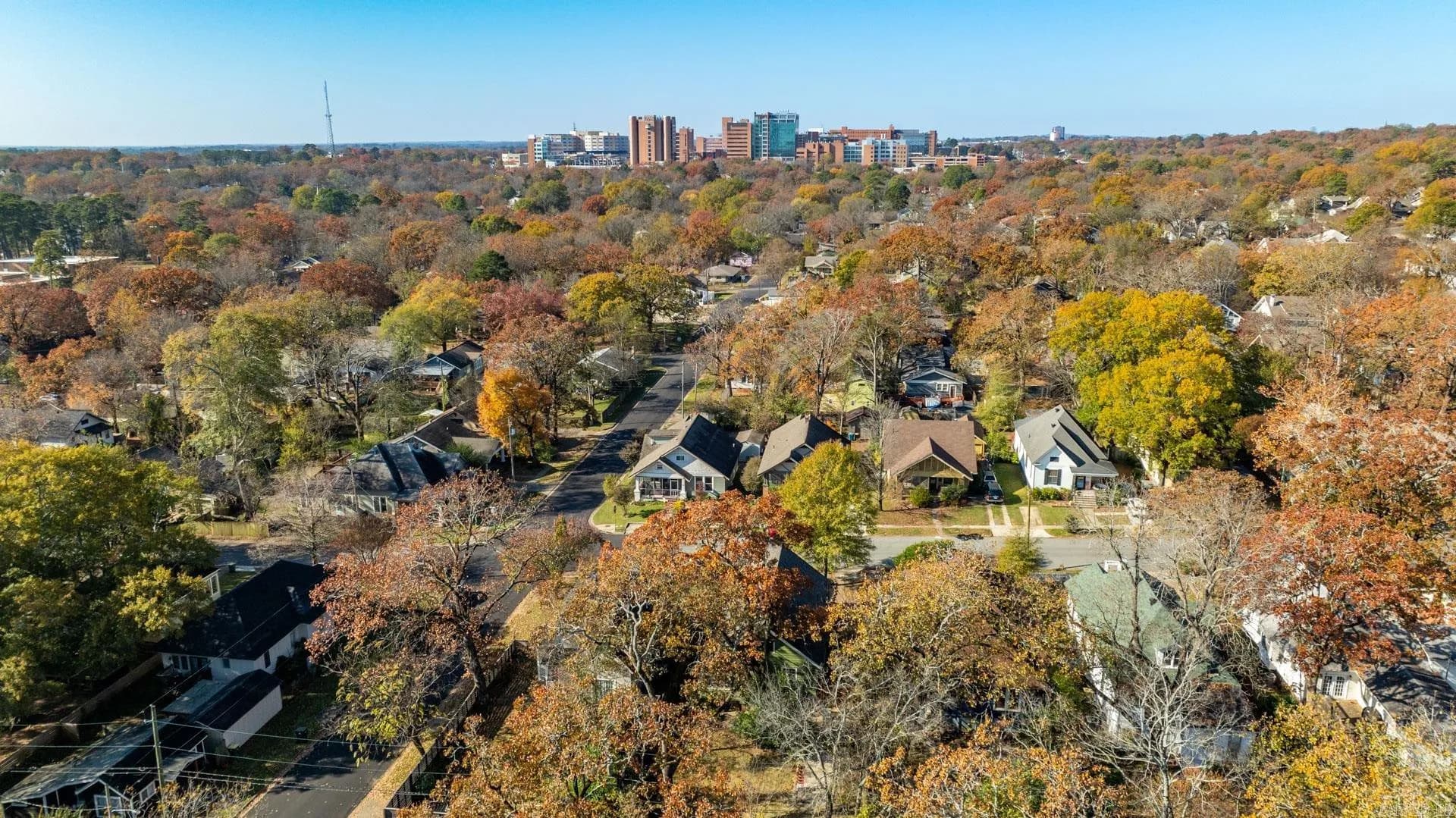Property at 135  Booker - Image 39