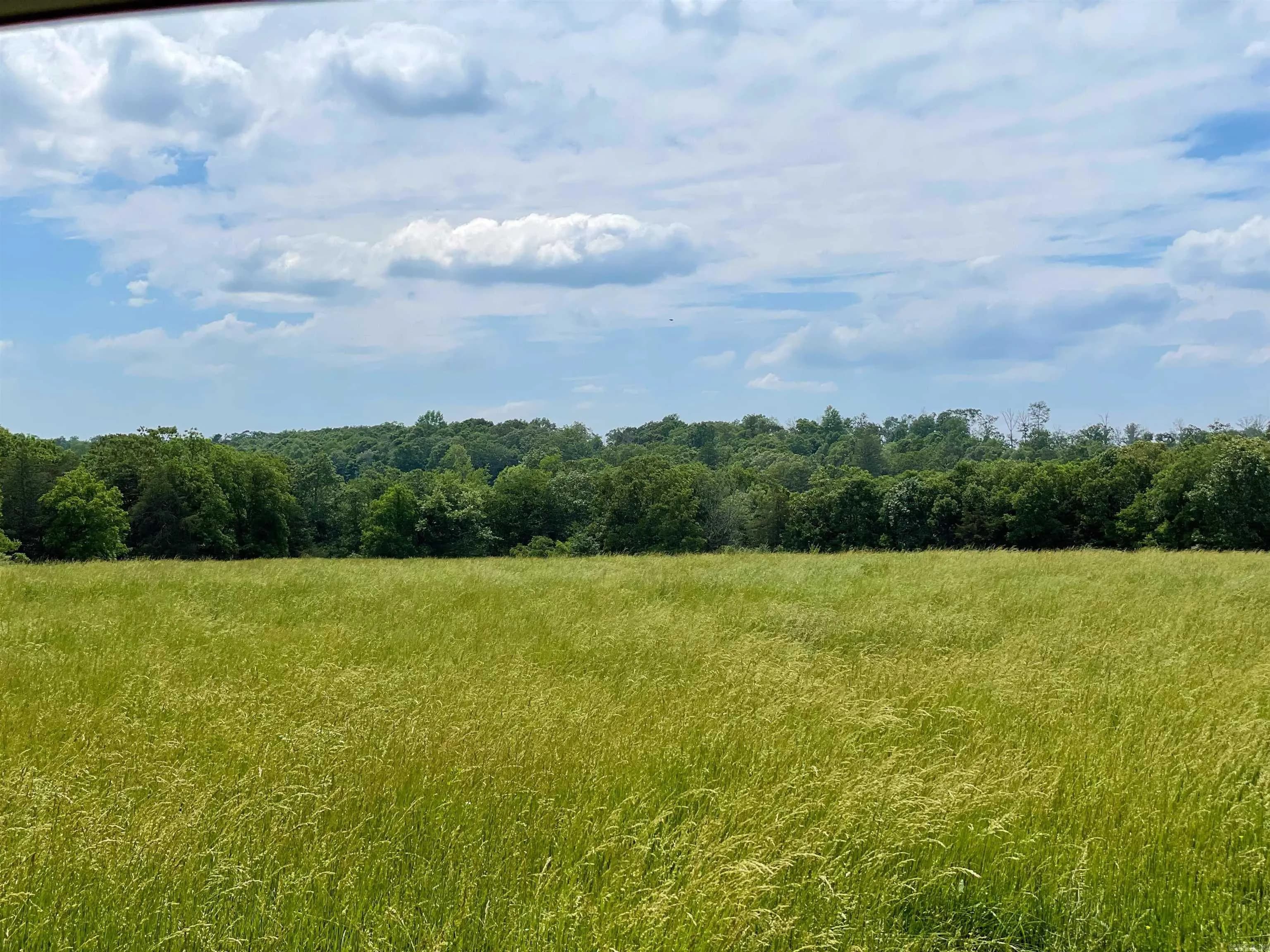 Property at 245  Cedar grove road - Image 11