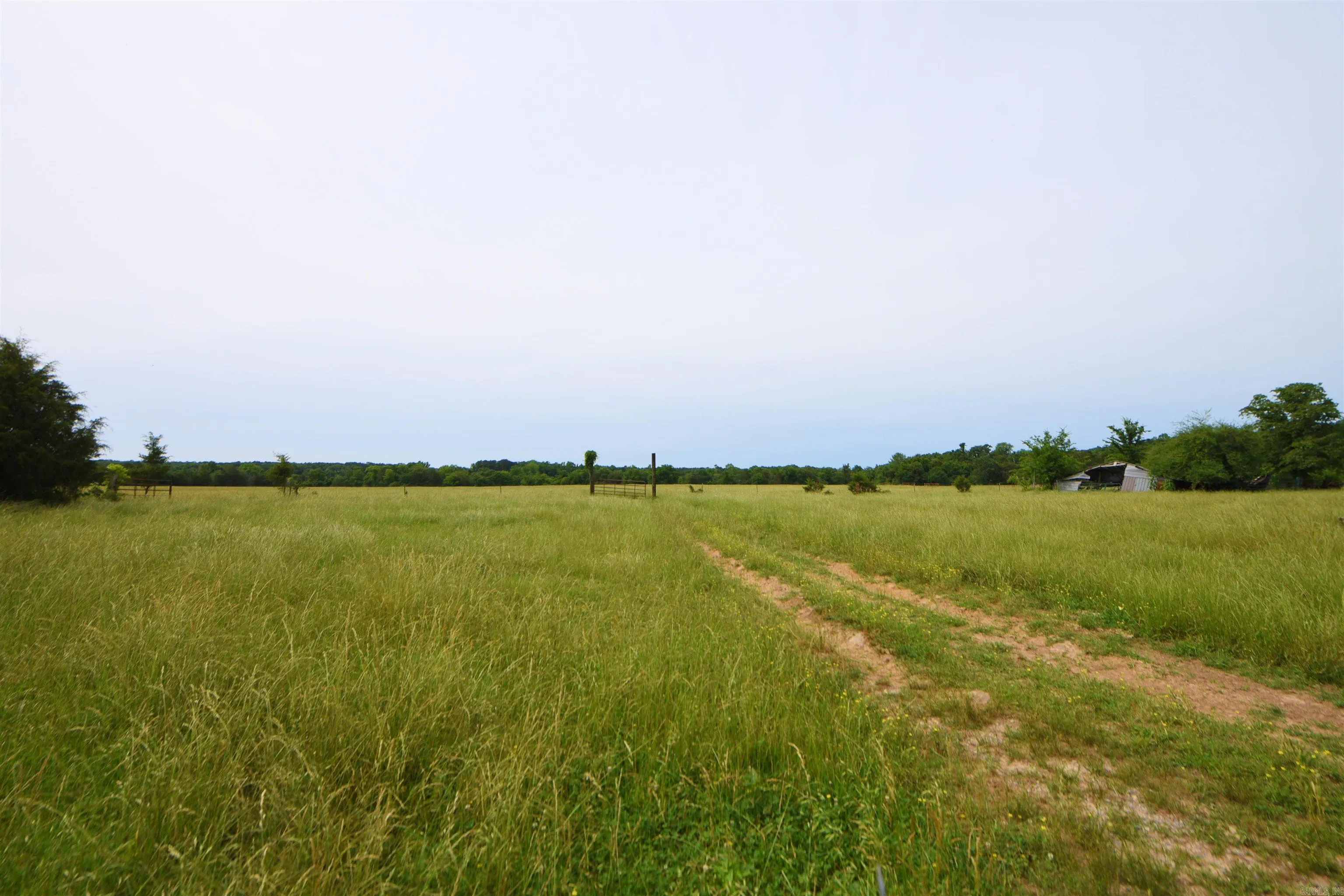 Property at 245  Cedar grove road - Image 9