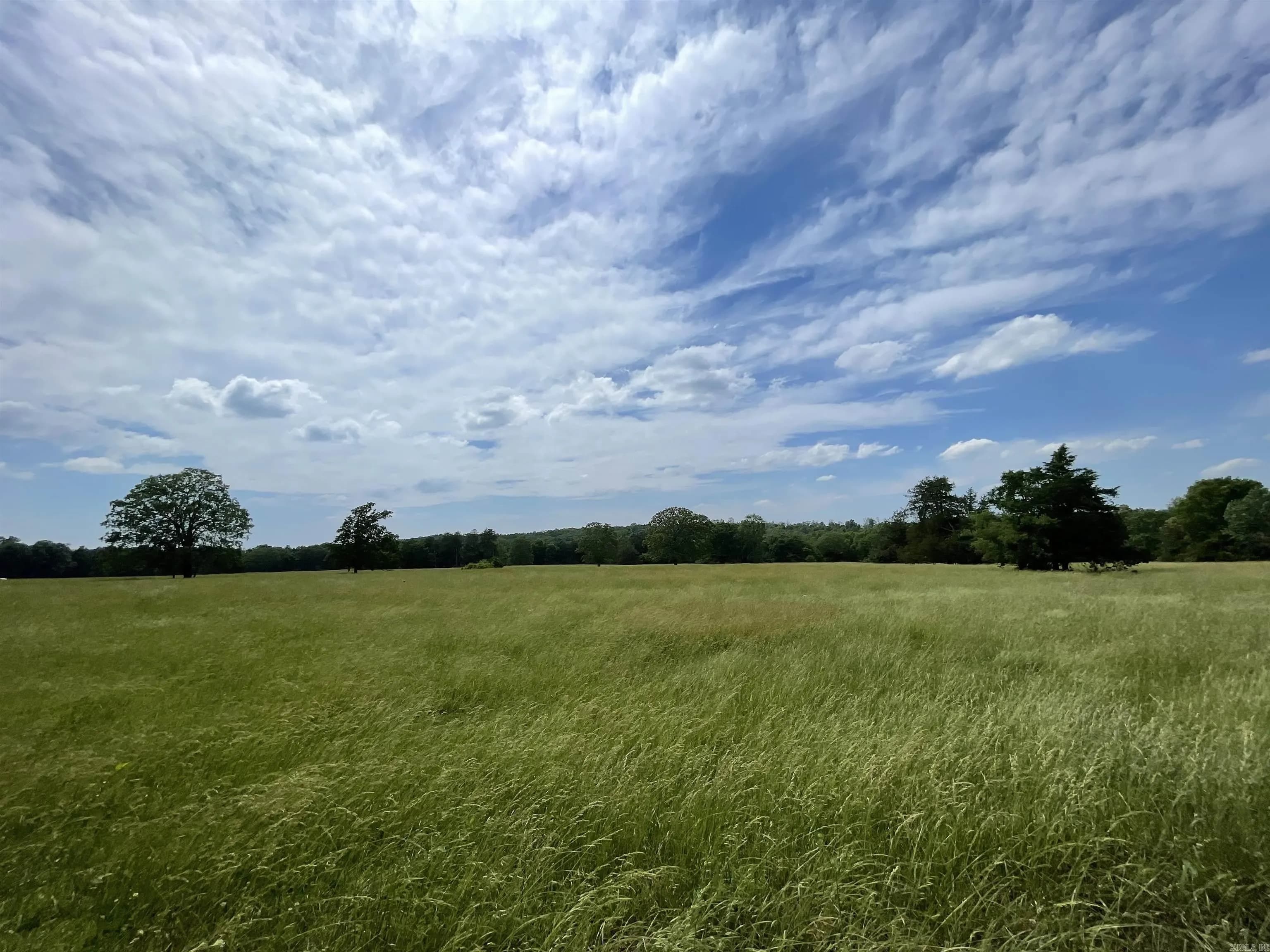 Property at 245  Cedar grove road - Image 13