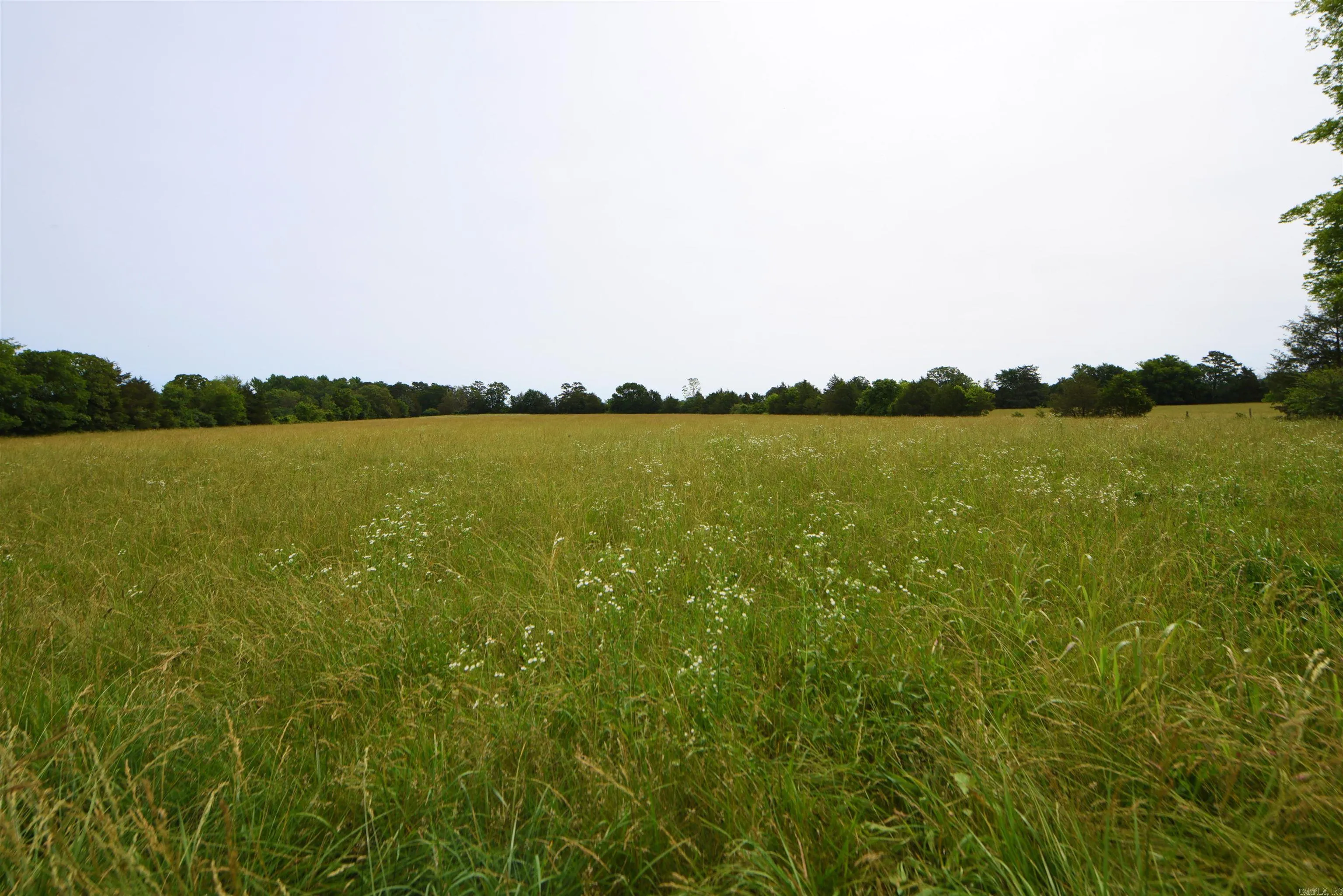 Property at 245  Cedar grove road - Image 16