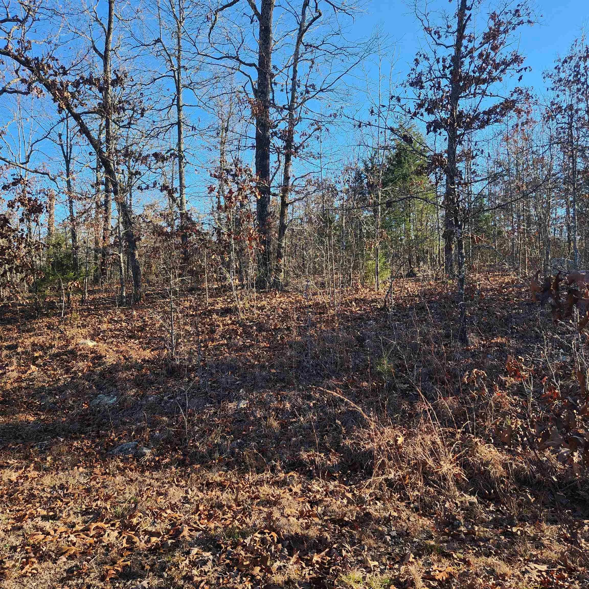 Property at 808 W Forest hills - Image 1