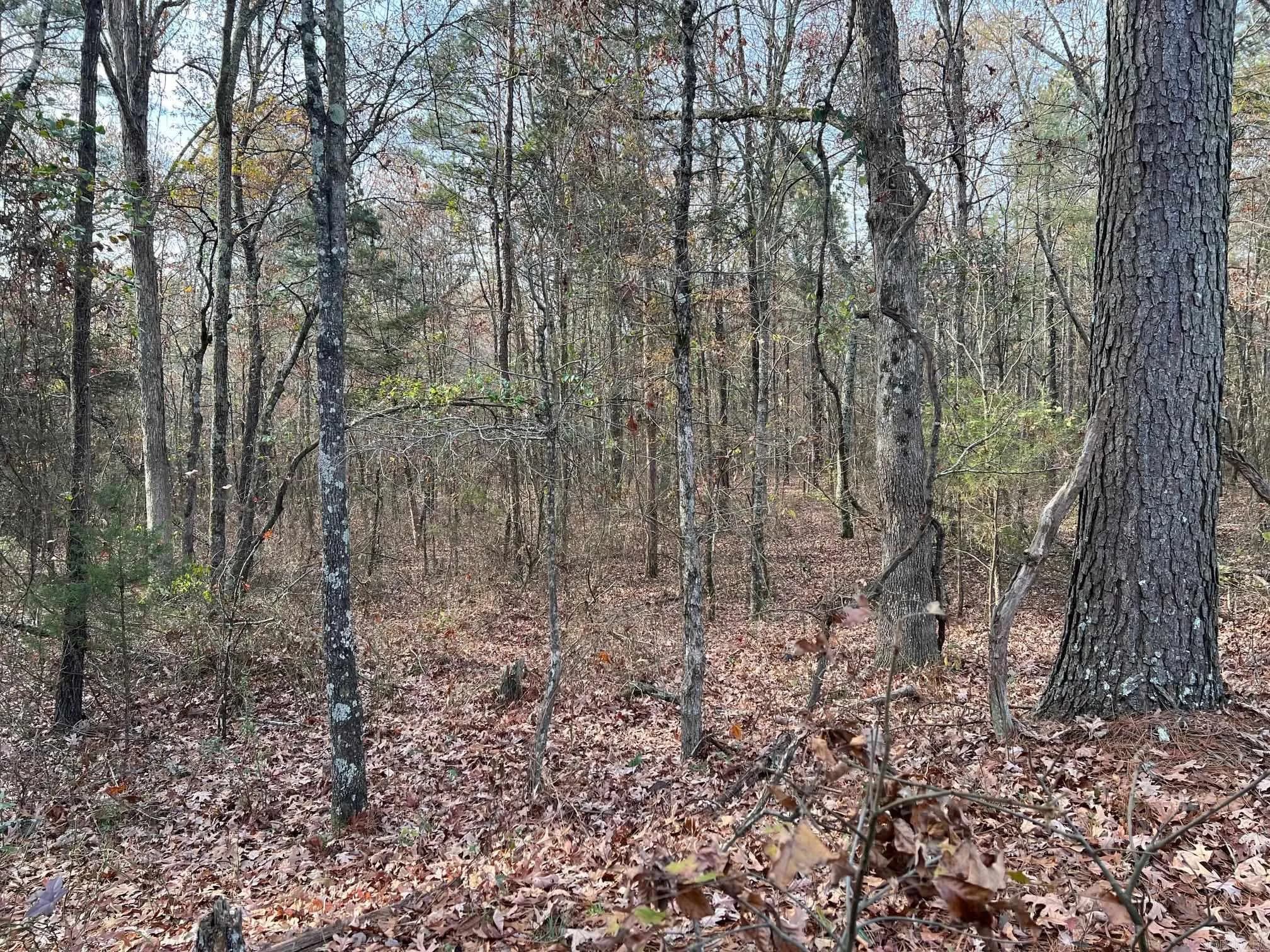 Property at 00  County line road - Image 3