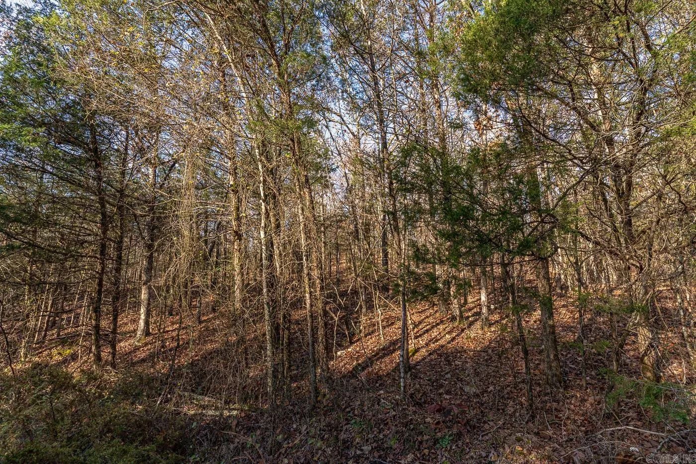 Property at 0  Bell foley - Image 4