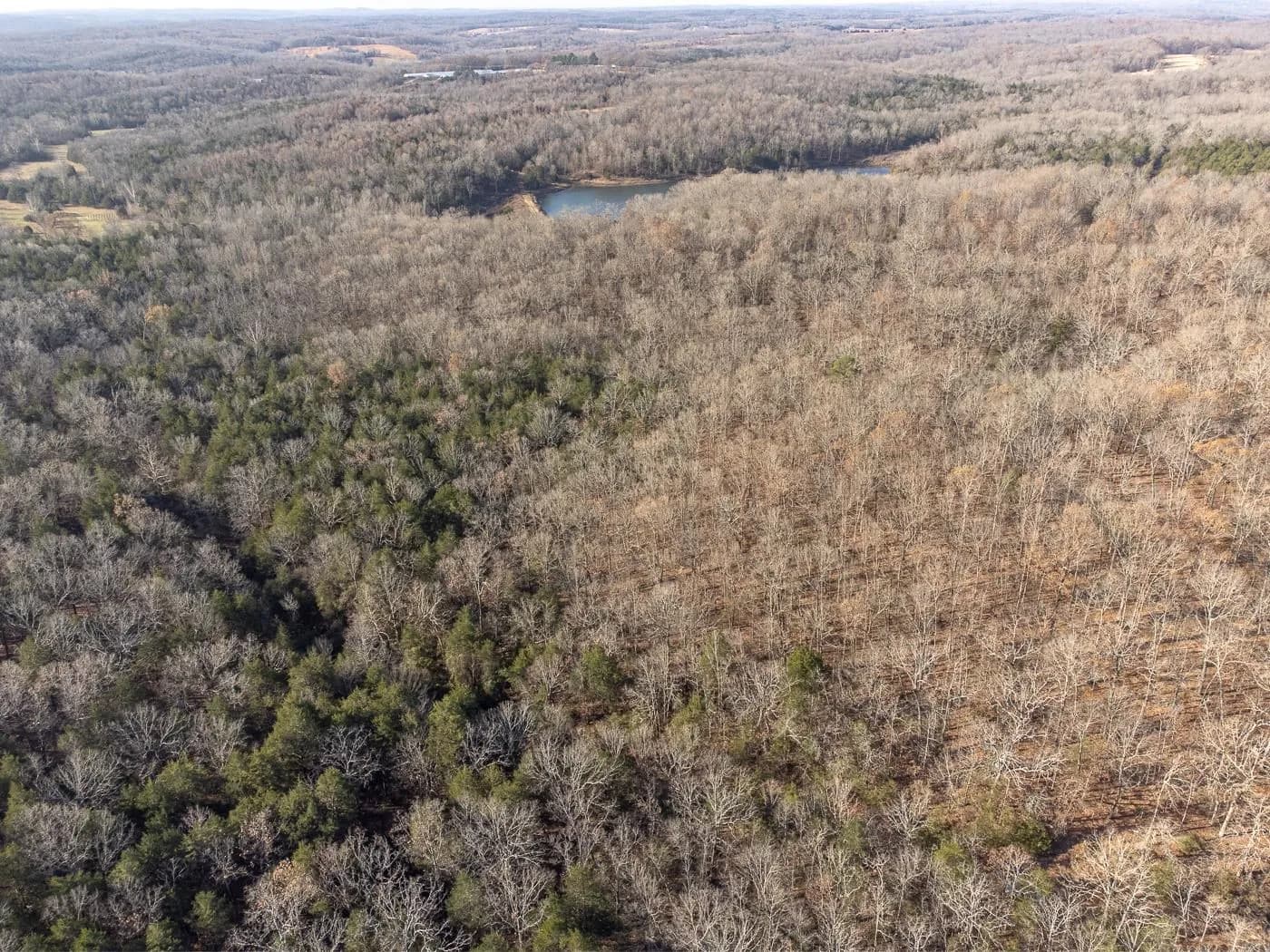 Property at 0  Bell foley - Image 10