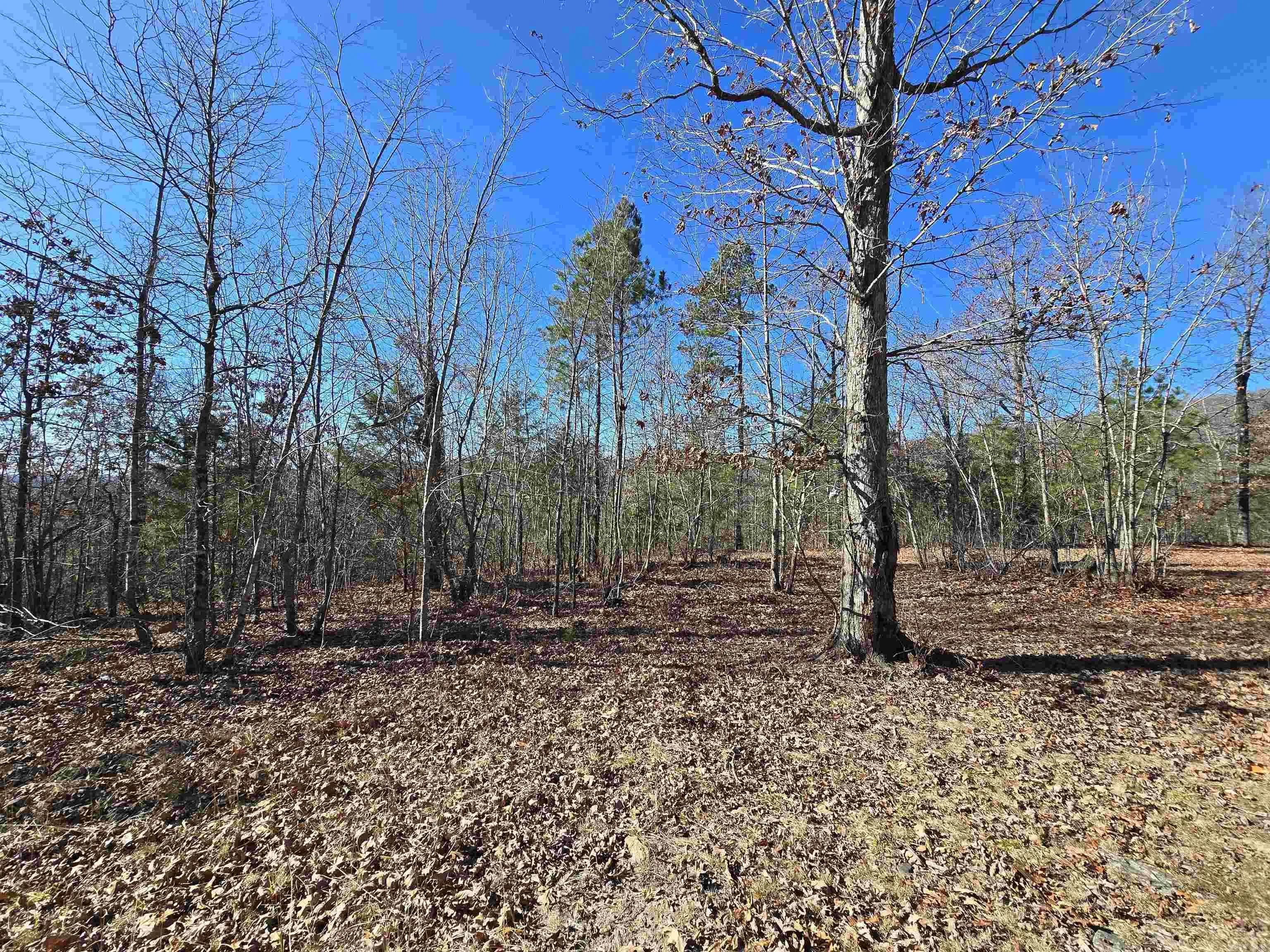 Property at 941  Old hickory - Image 33