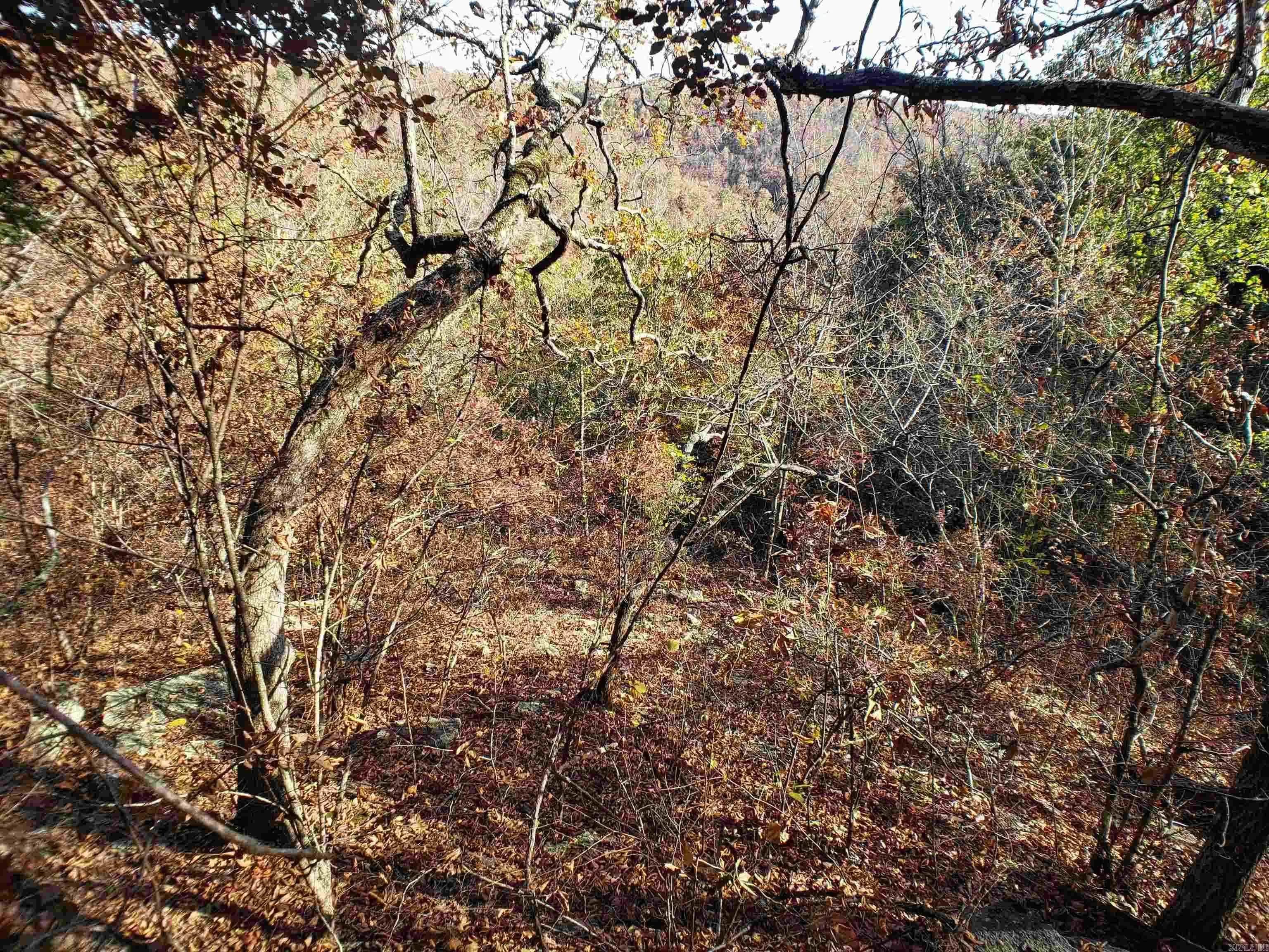Property at 941  Old hickory - Image 74
