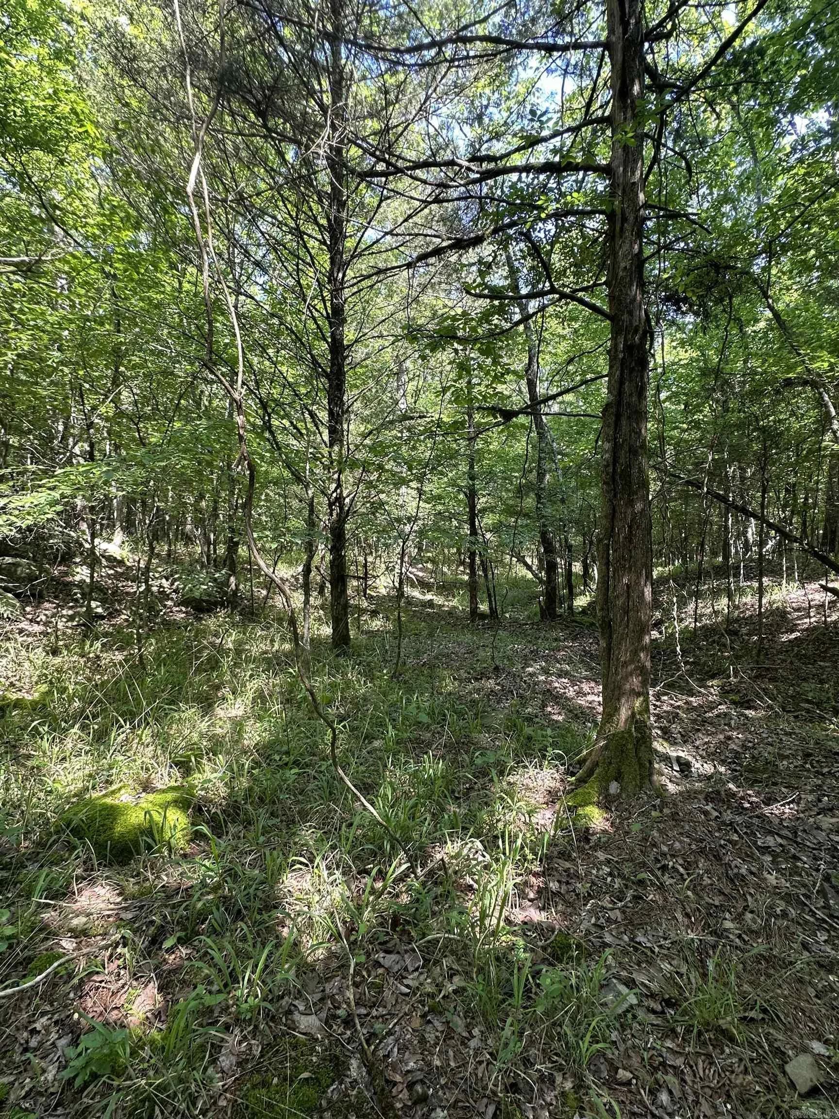 Property at TBD  From hwy 71 - Image 9