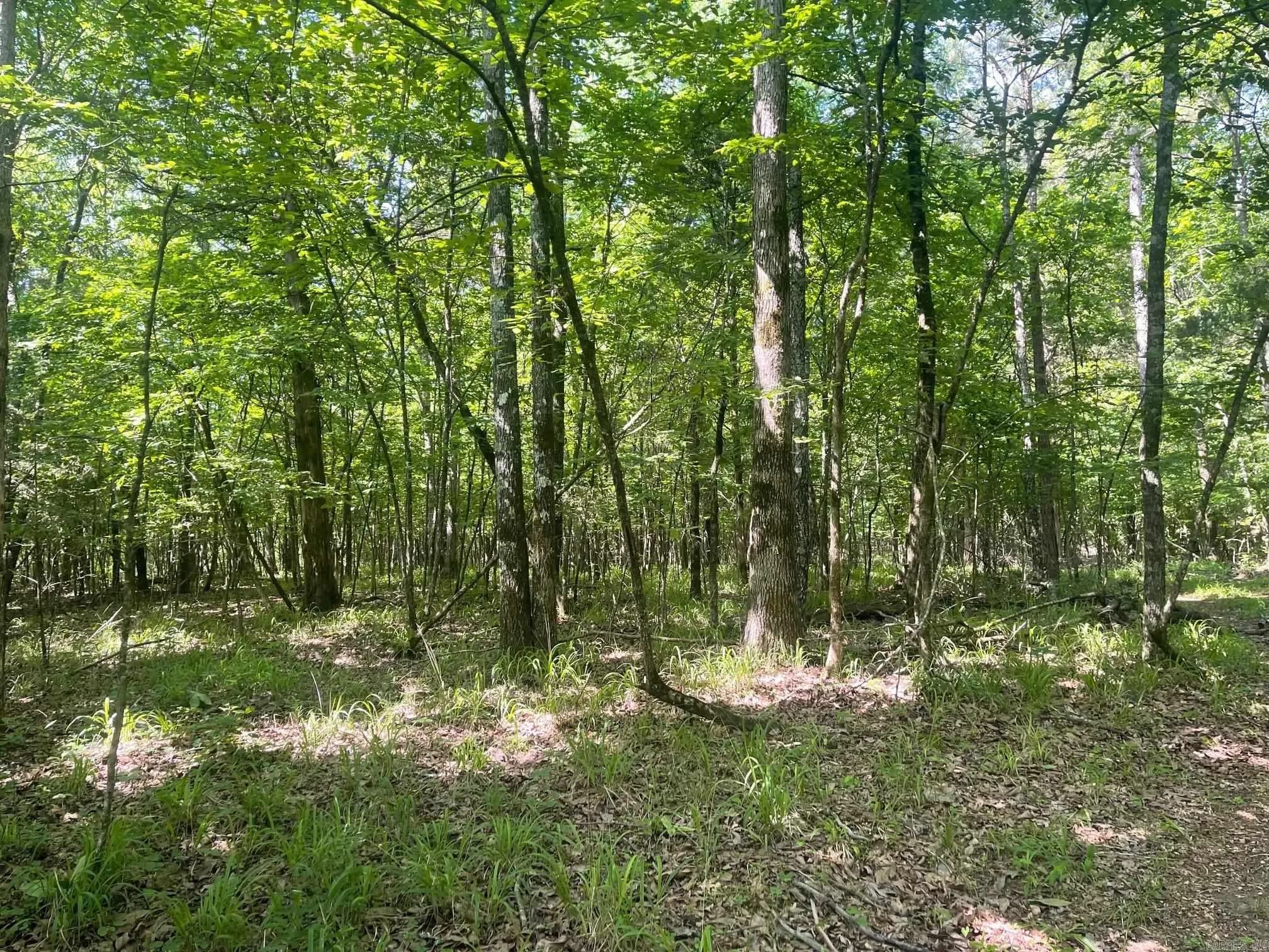 Property at TBD  From hwy 71 - Image 5