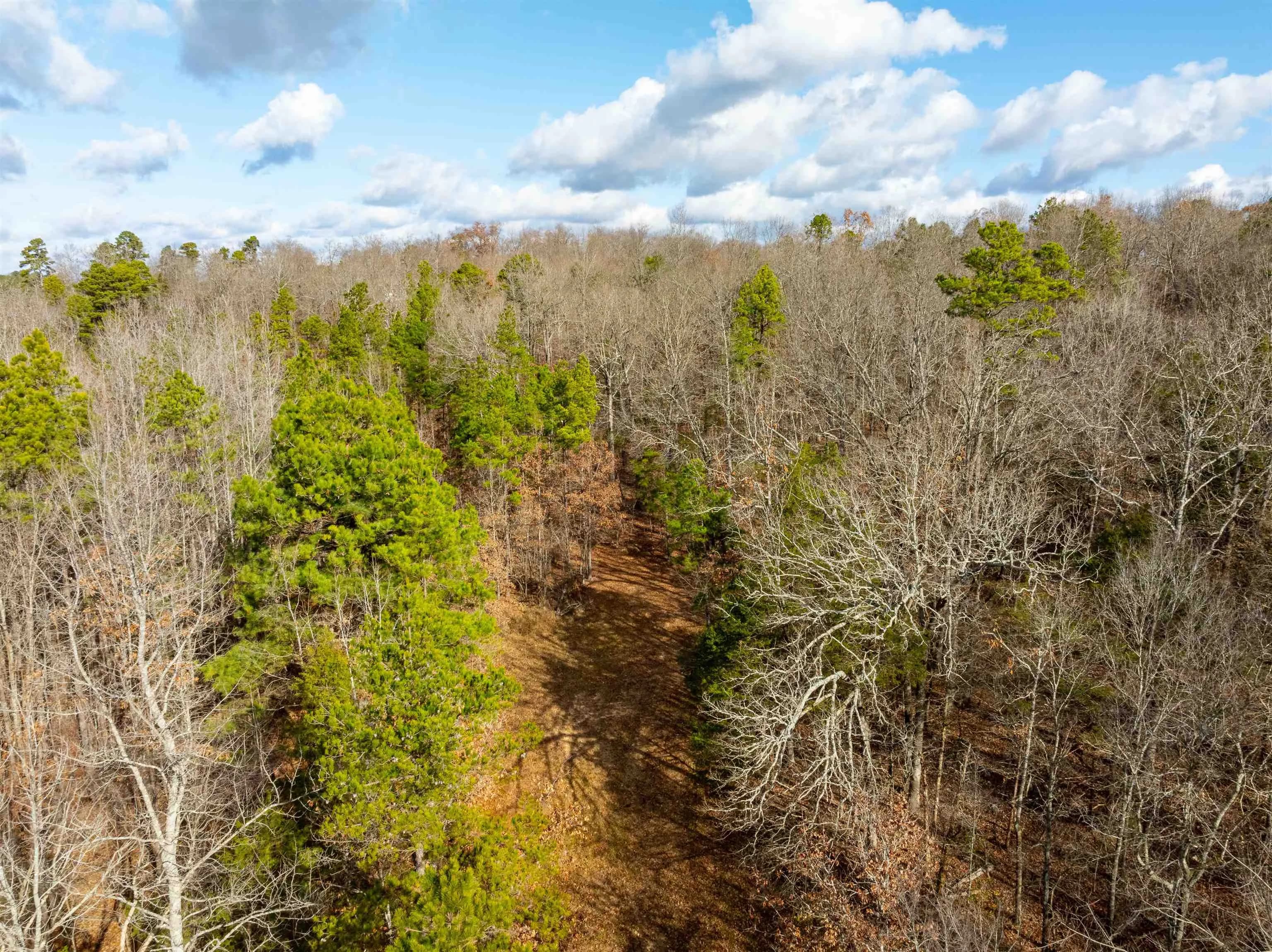 Property at 1393  Hwy 167 - Image 17