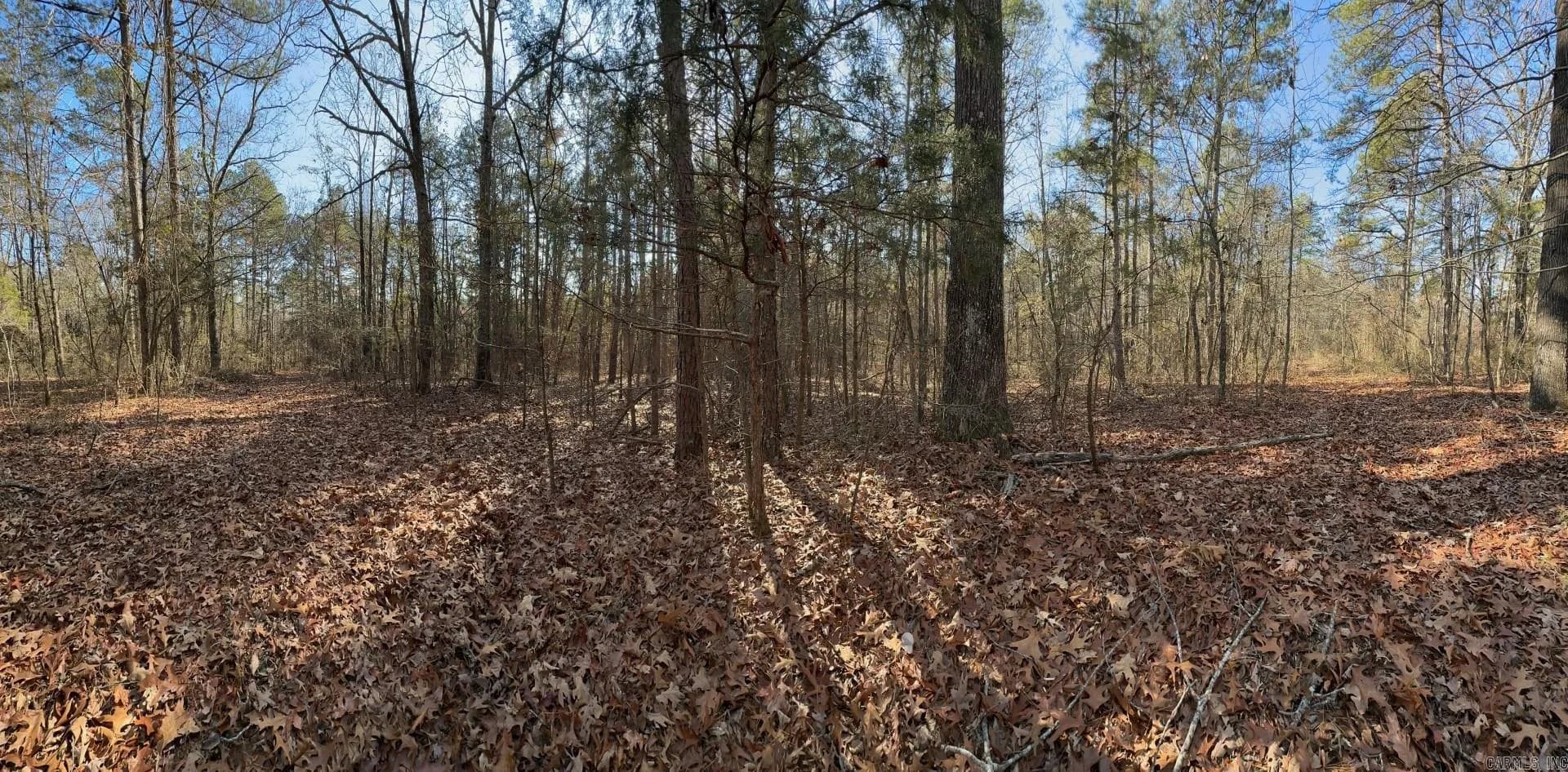 Property at 000  Half moon mountain road - Image 12