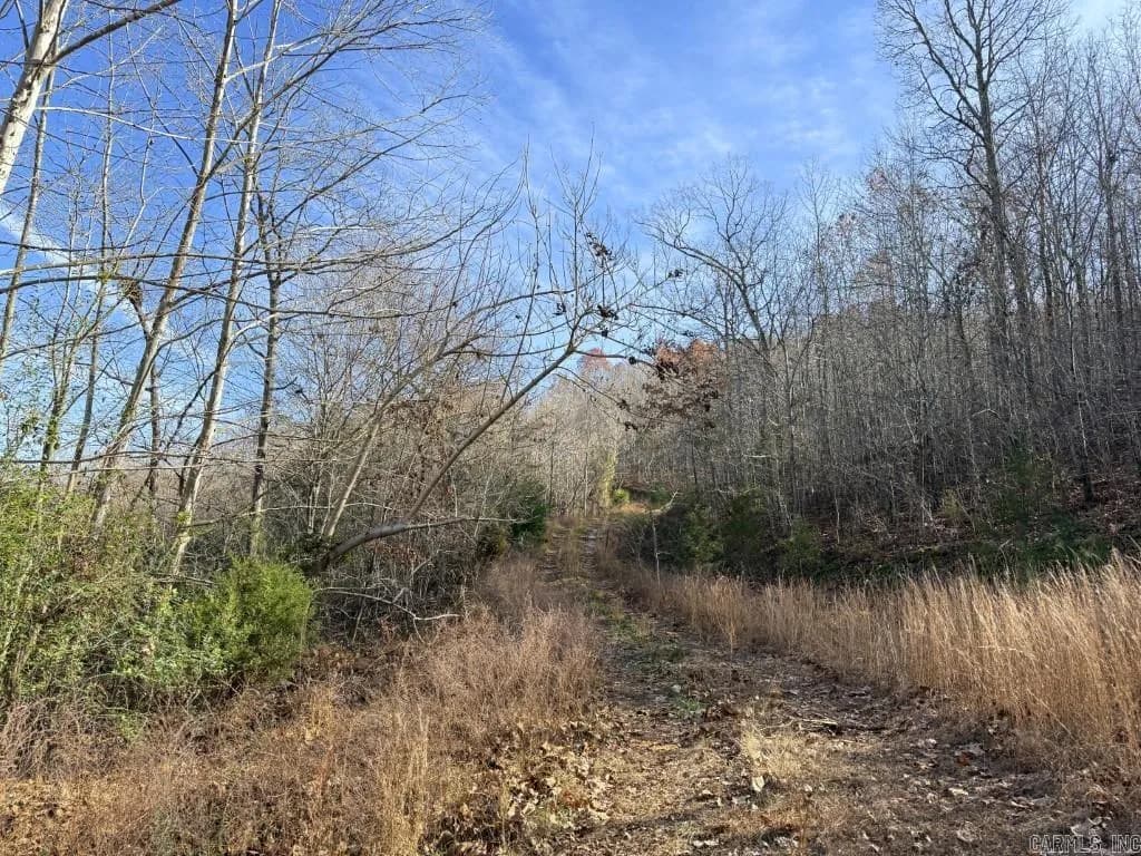 Property at 284  Stark springs - Image 12