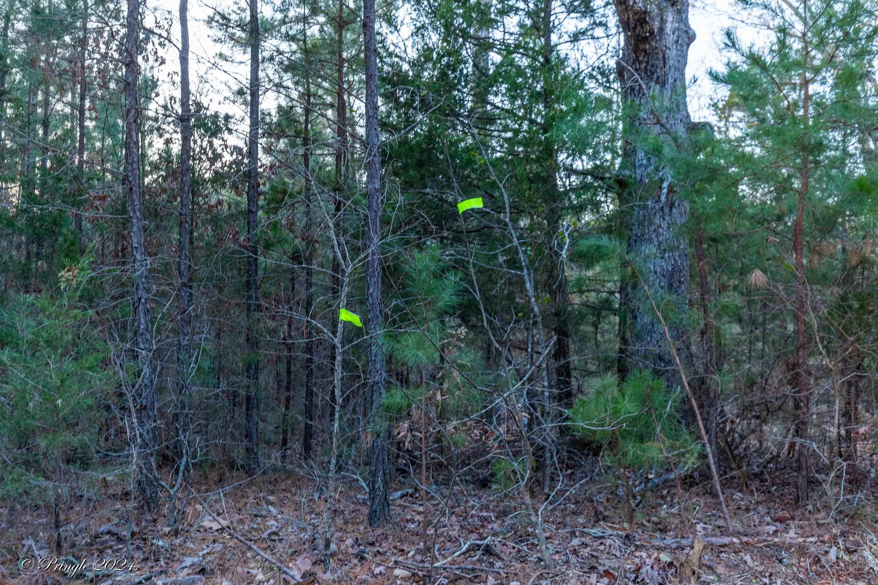 Property at 000  Highway 223 south - Image 4