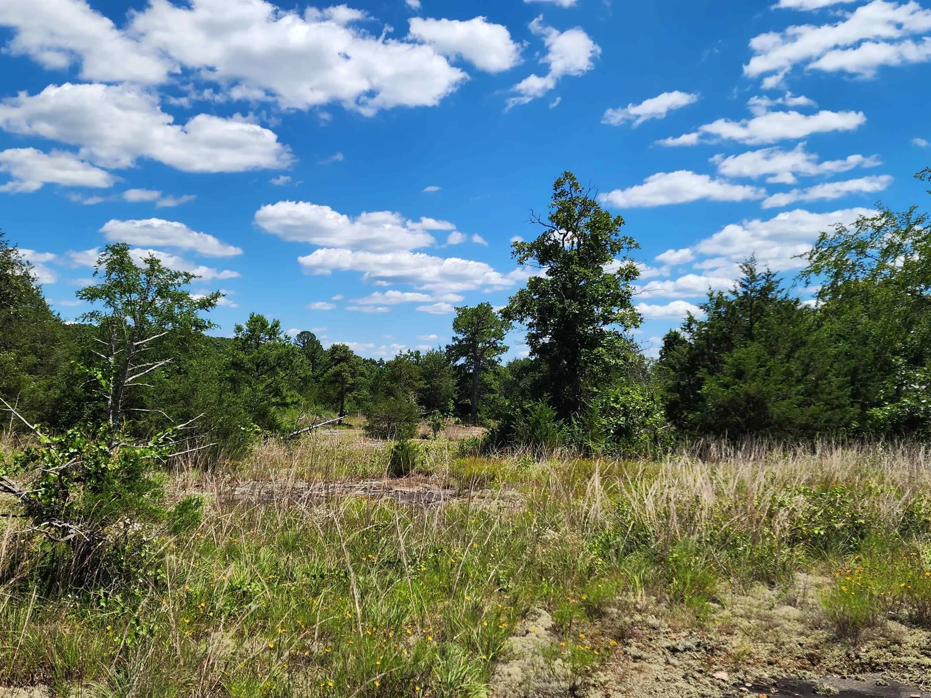 Property at 001-09181-000  Hwy 5 - Image 11