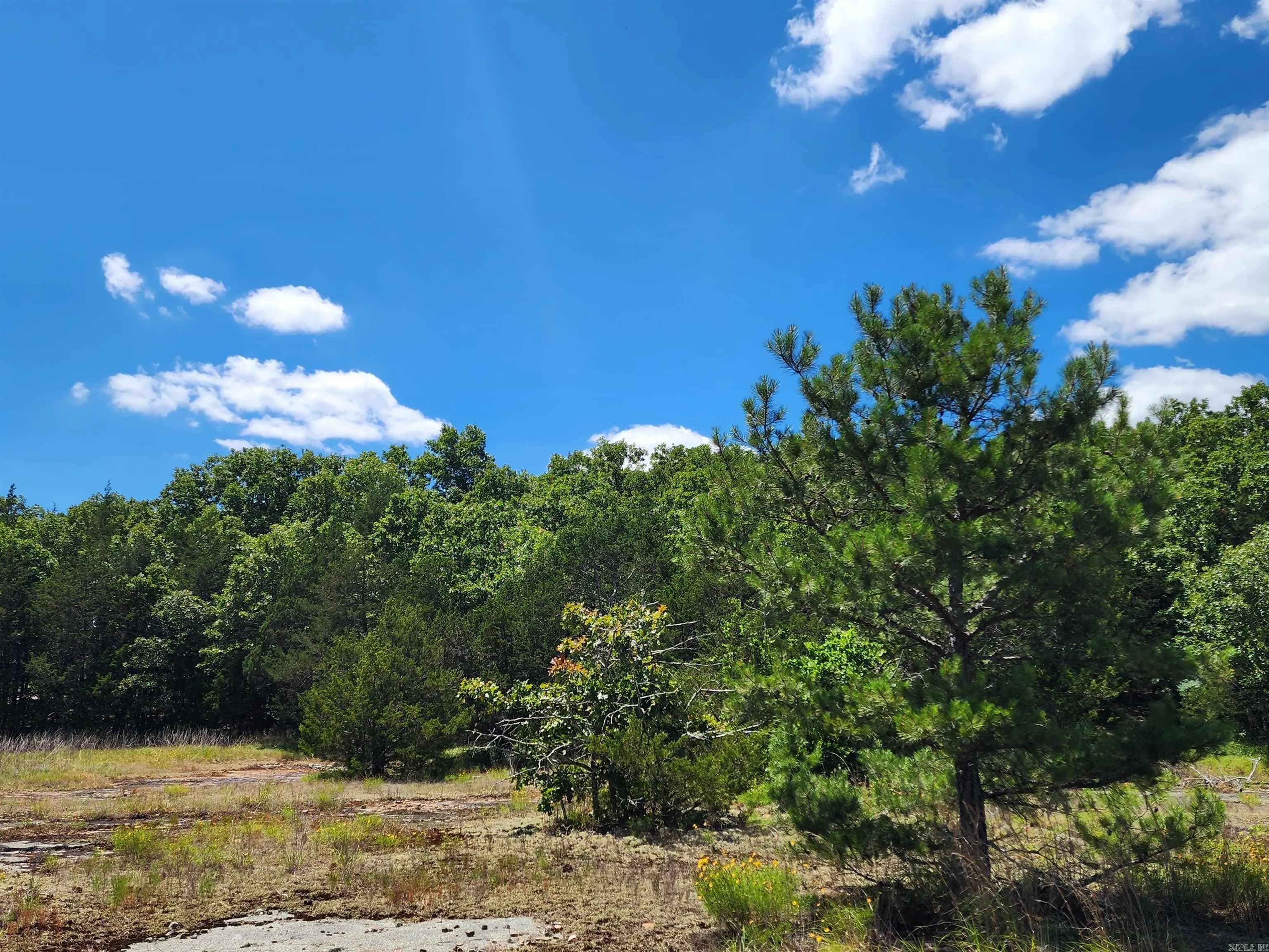 Property at 001-09181-000  Hwy 5 - Image 15