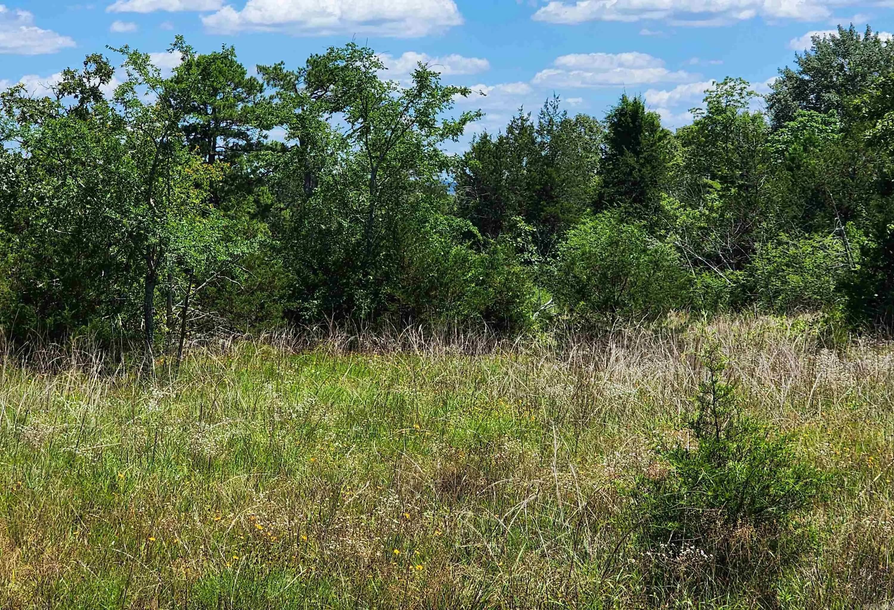 Property at 001-09181-000  Hwy 5 - Image 13