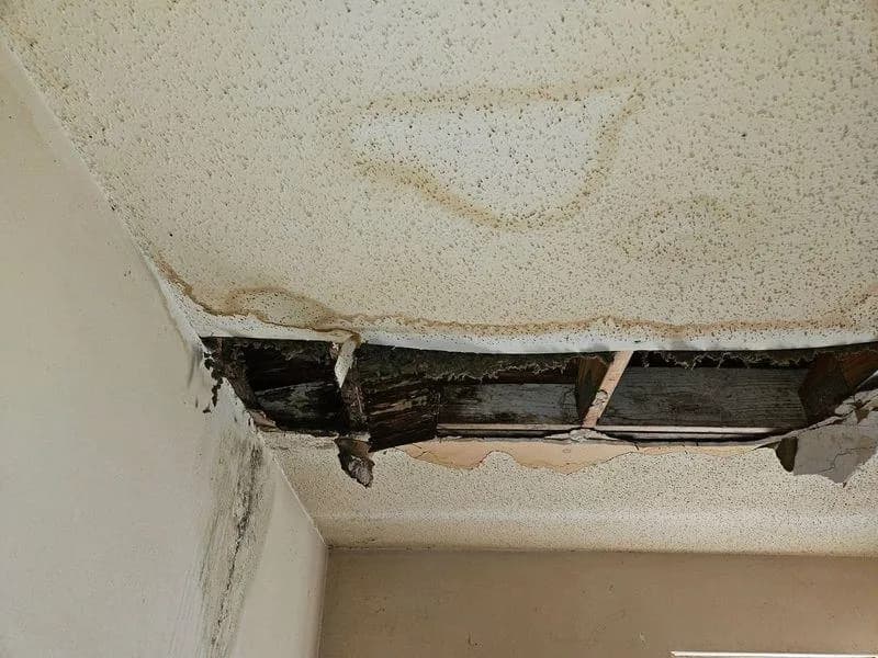 Property at 1215  Chestnut - Image 3