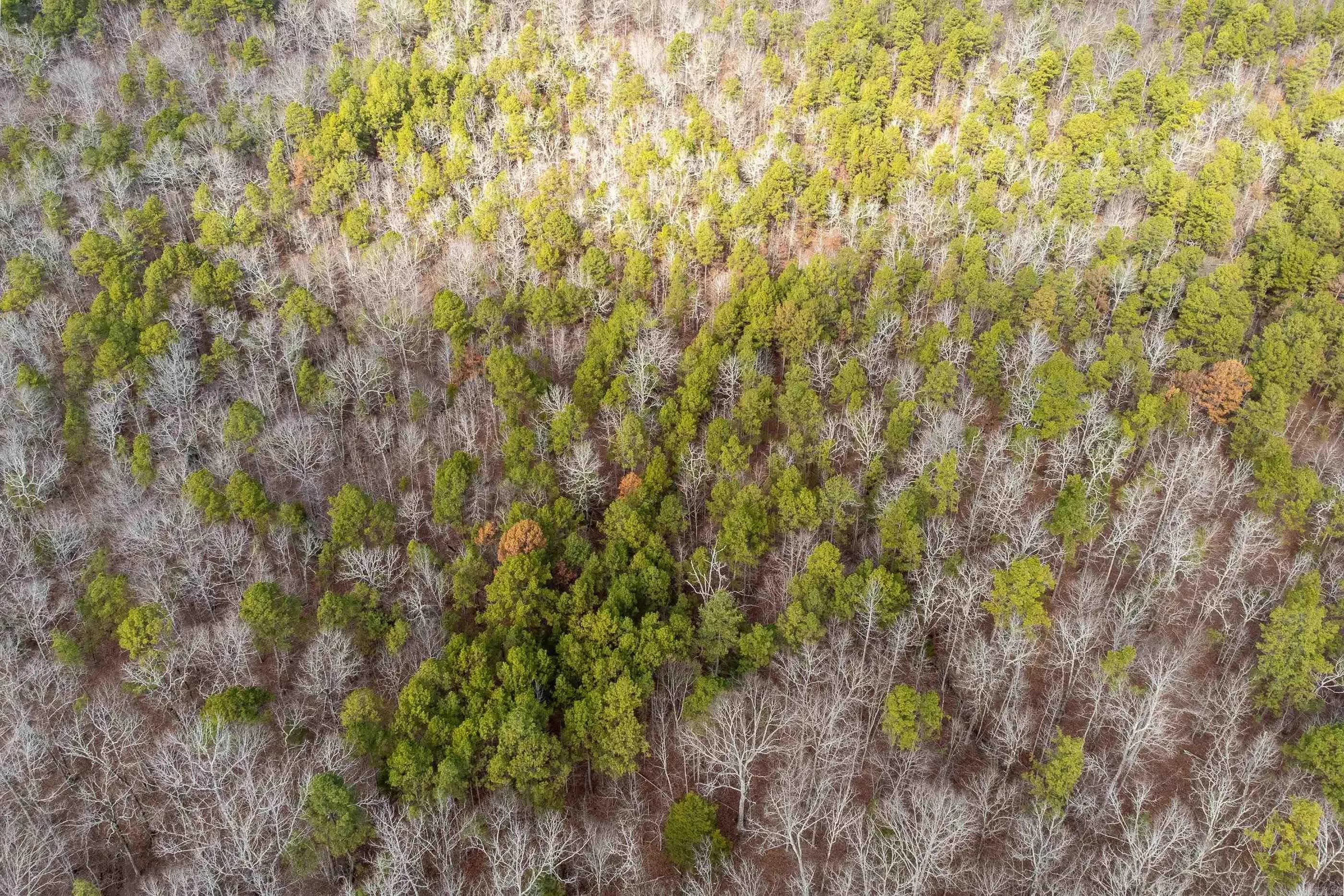 Property at 00  Horseshoe mountain - Image 13