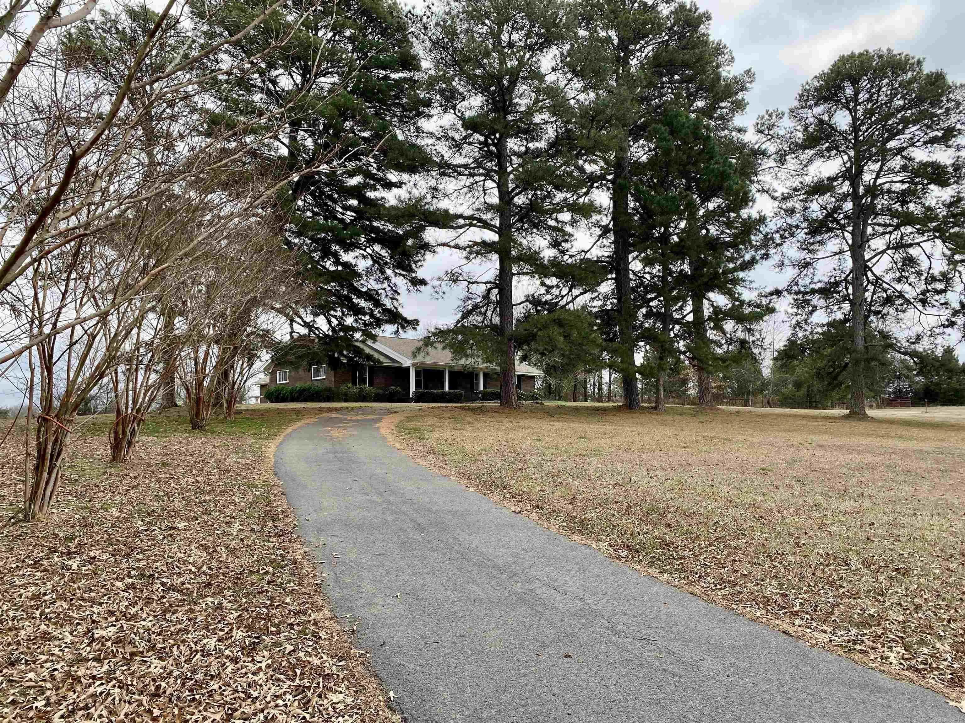 Property at 1045  Big danger road - Image 6