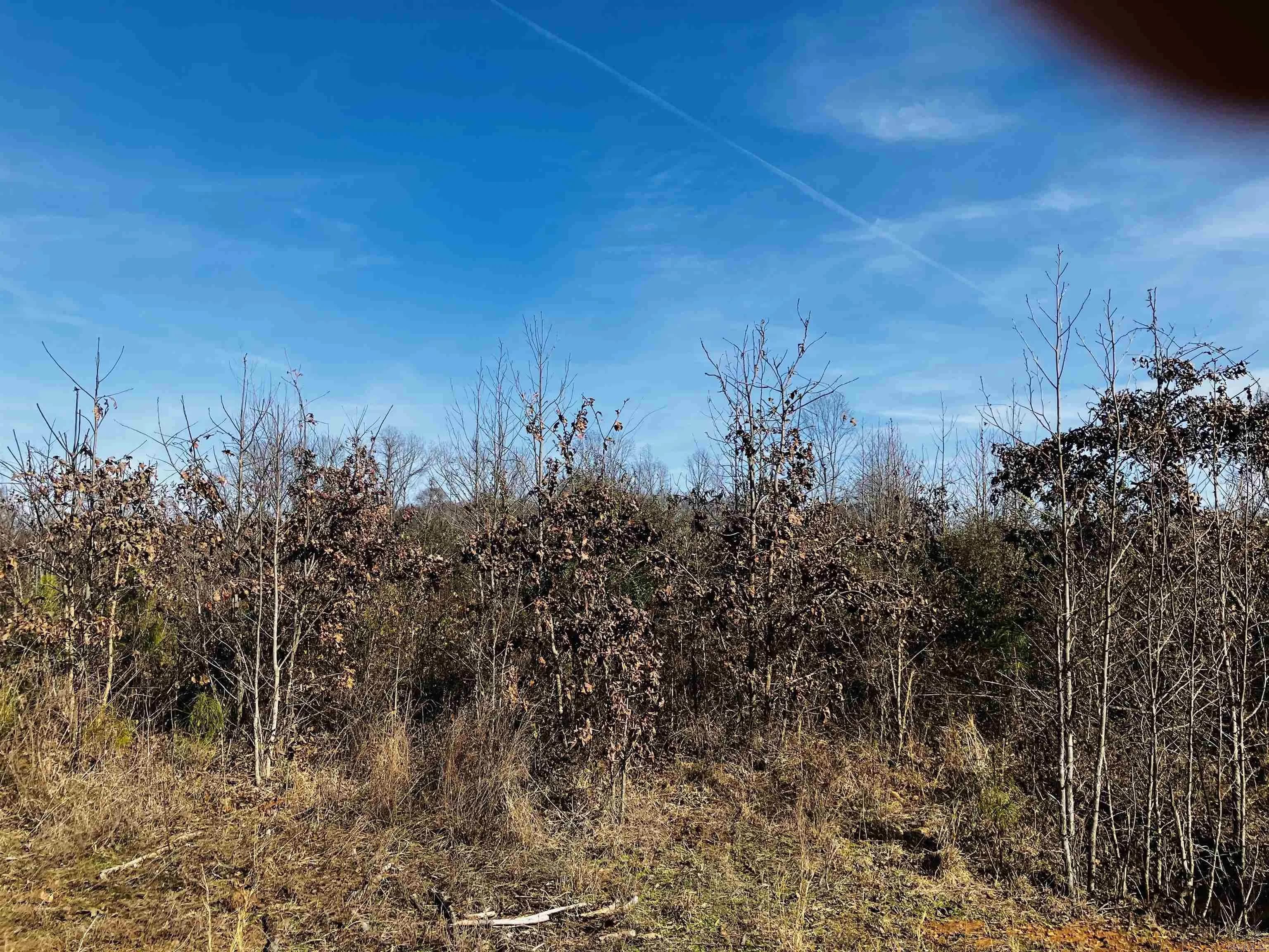 Property at TBD  Wilderness road - Image 10