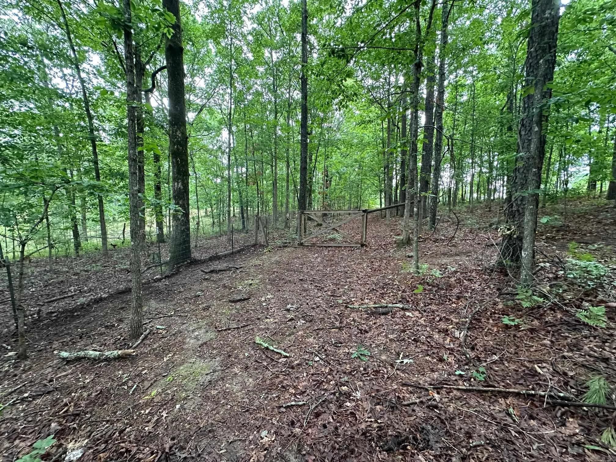 Property at 457  Judah dr. - Image 10