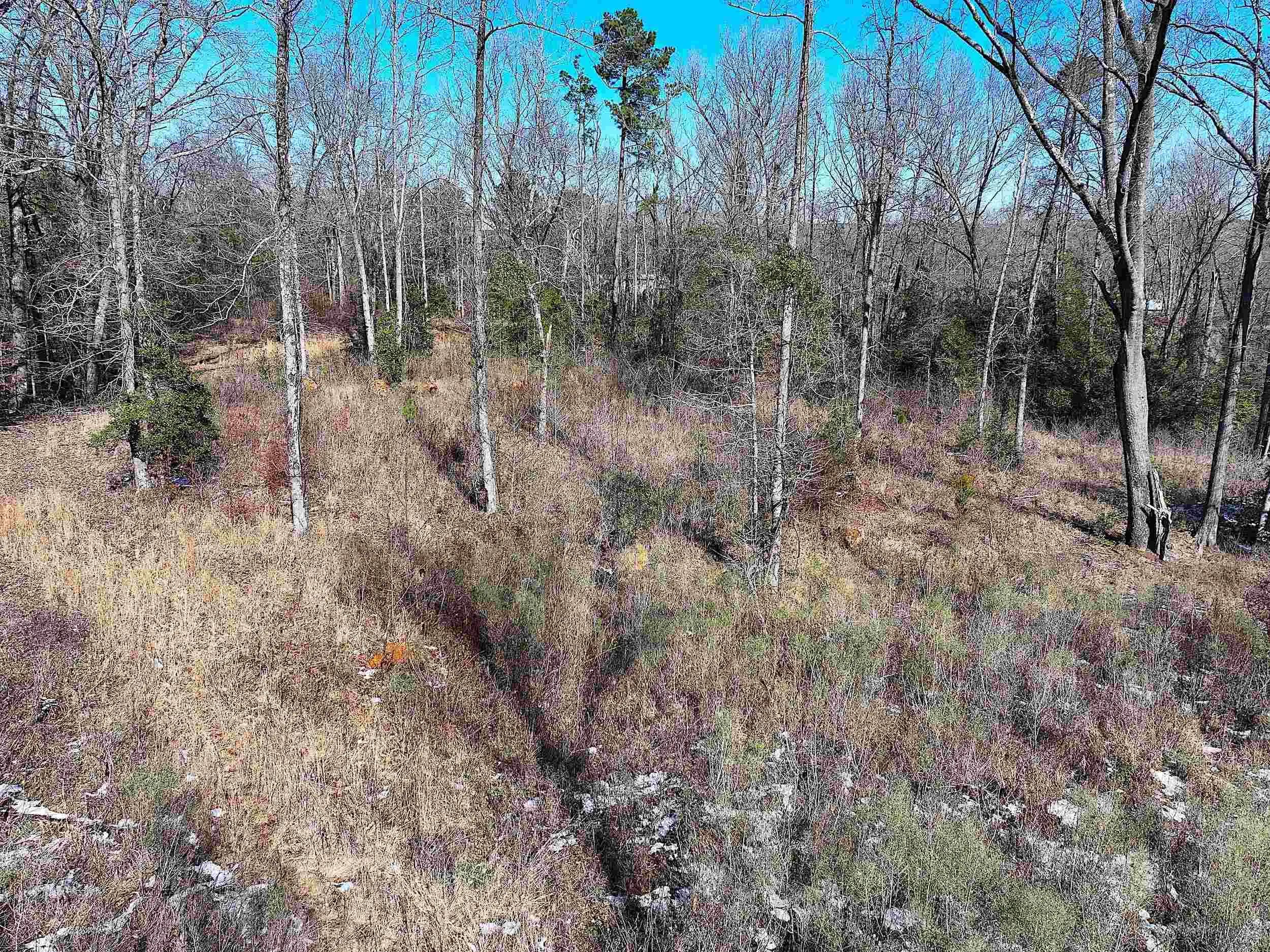 Property at XXX  Strawberry - Image 21