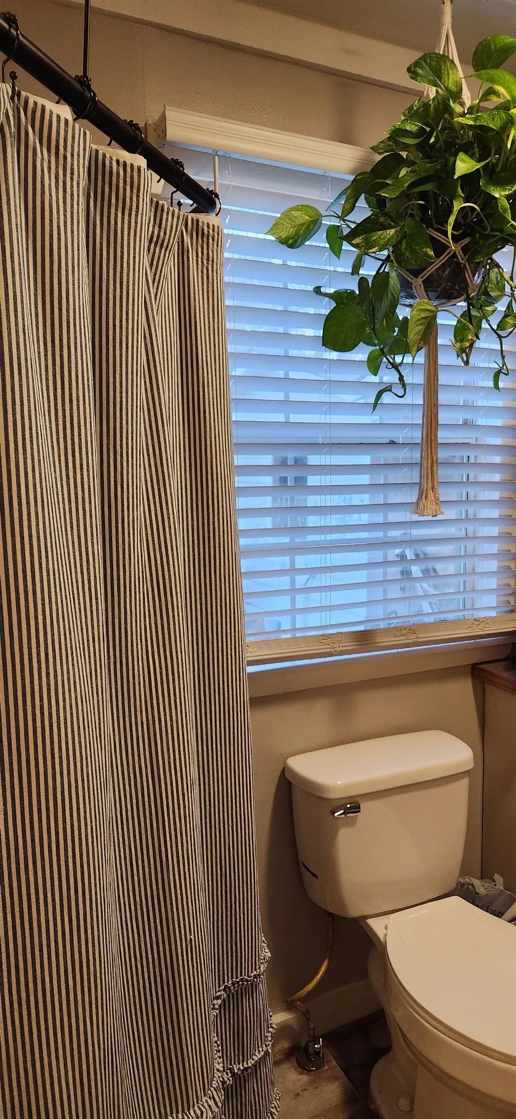 Property at 1001  Sunset - Image 30