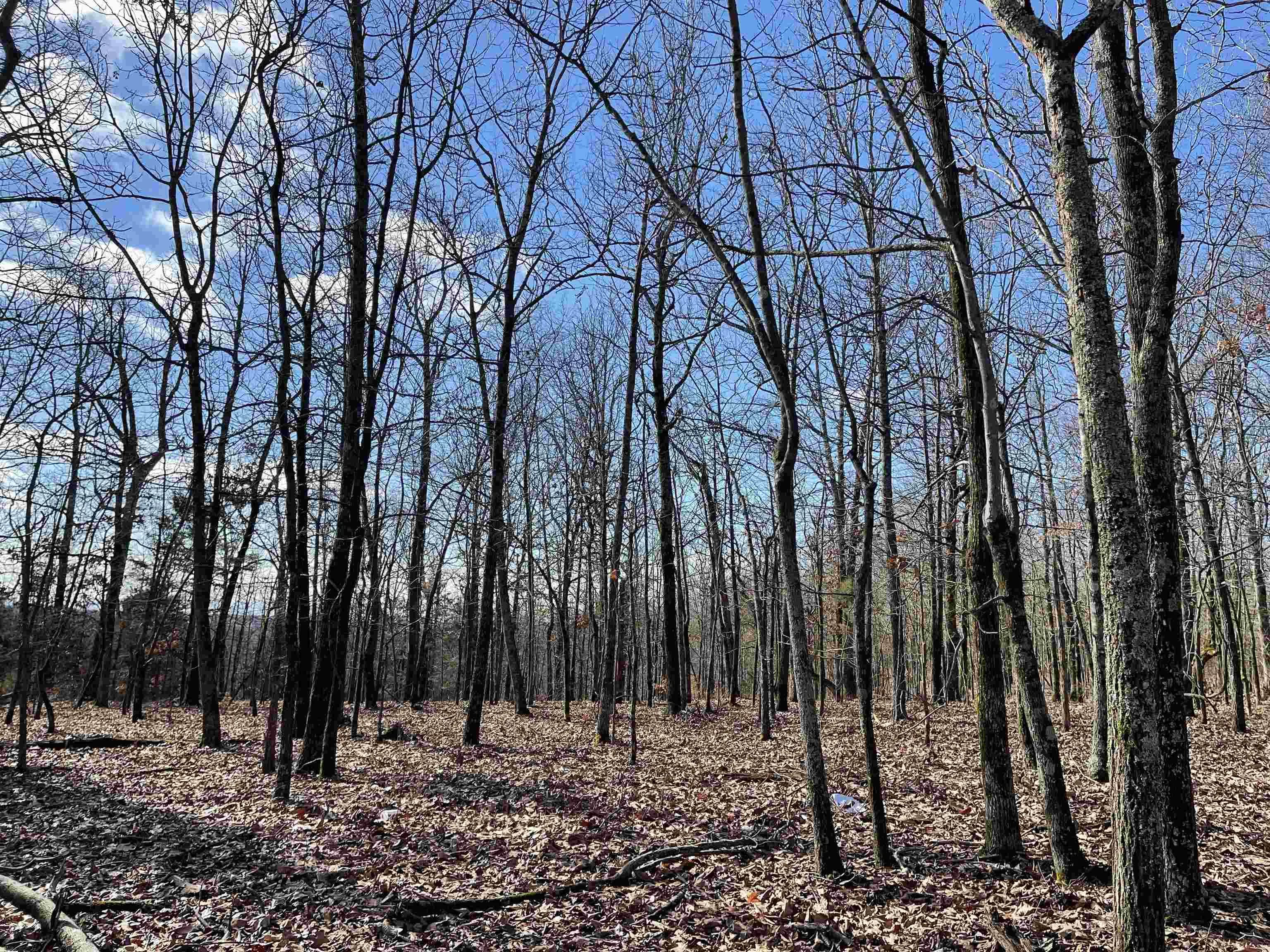 Property at 269  Krysti - Image 19