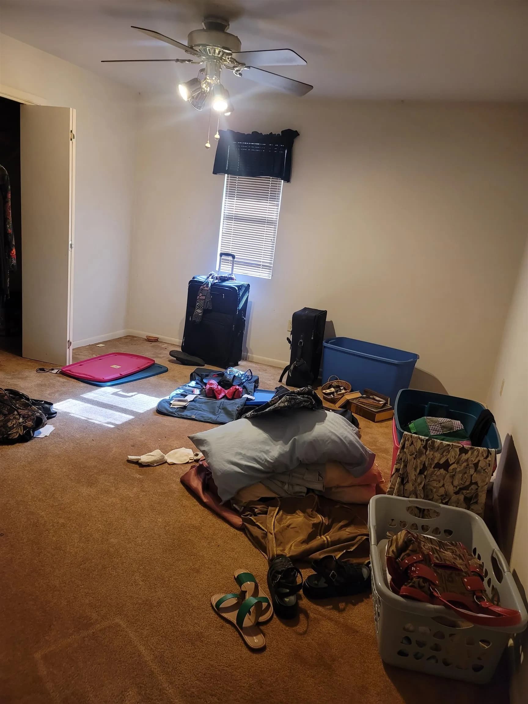 Property at 2400  Weekly - Image 4