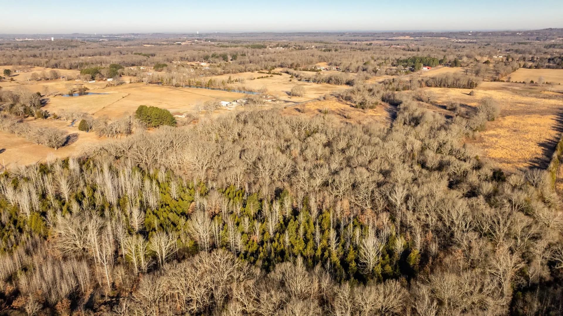 Property at Tract 7  Rooster - Image 7