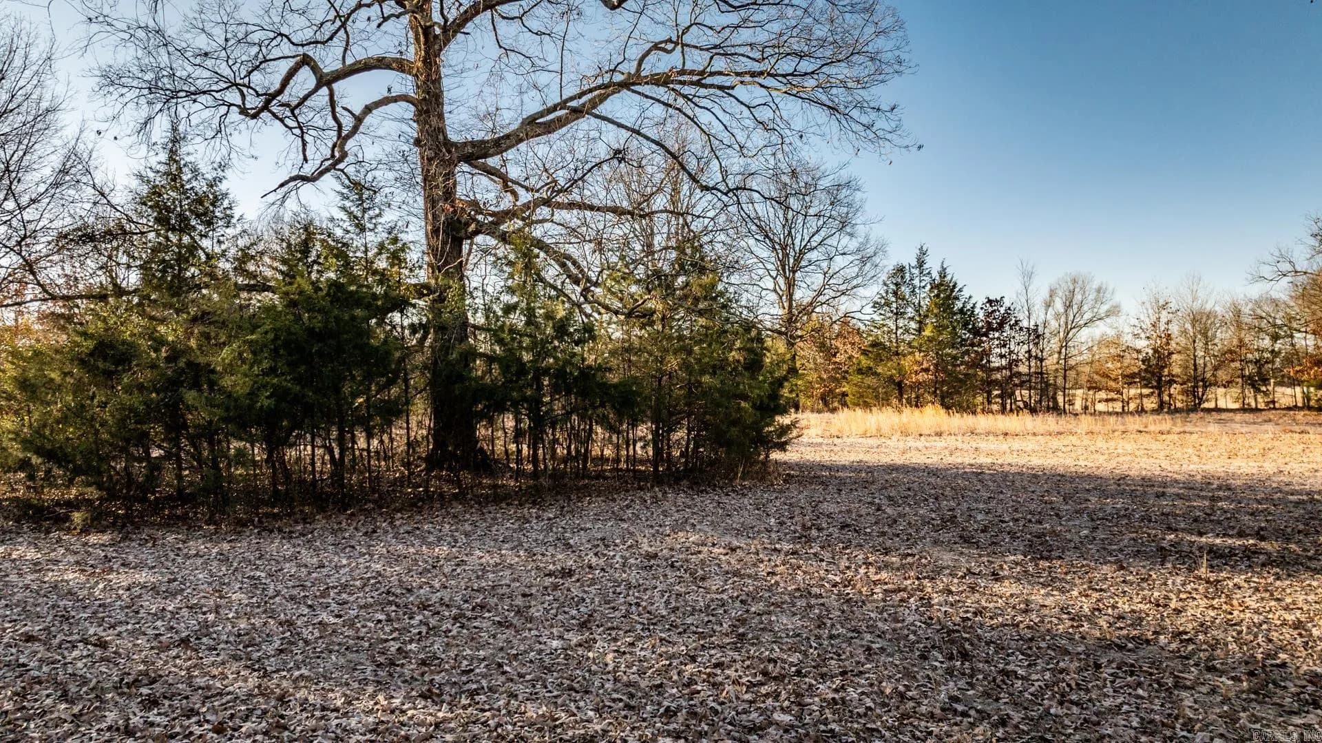 Property at Tract 7  Rooster - Image 5