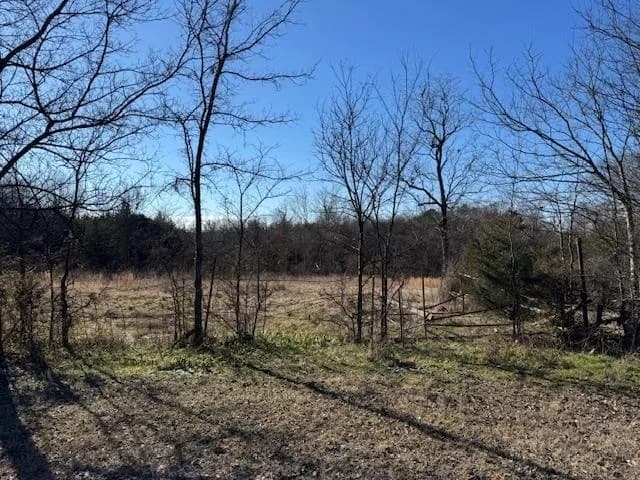 Property at 2656  Hwy. 251 - Image 4