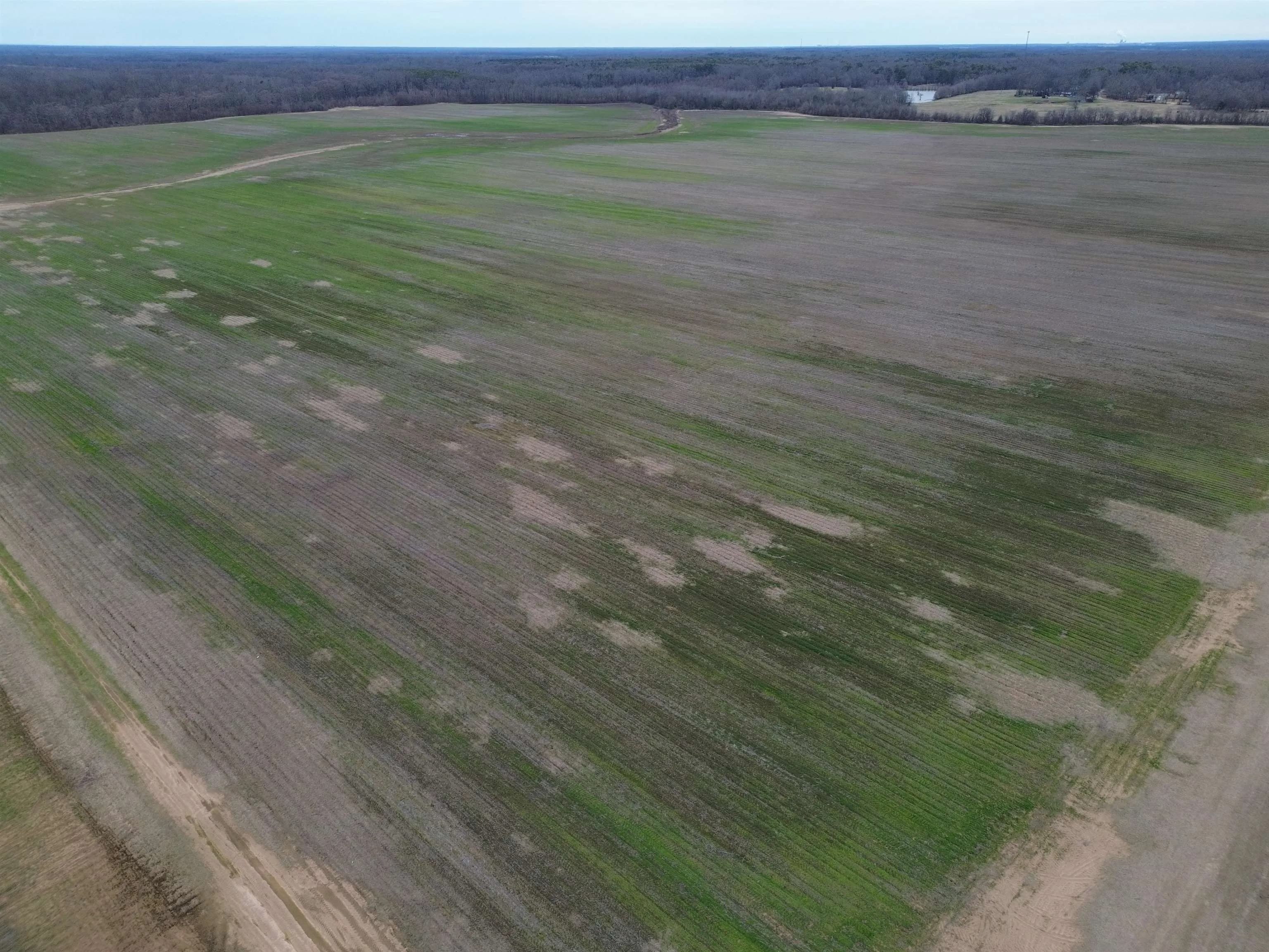 Property at 6000  Hwy 425 - Image 3