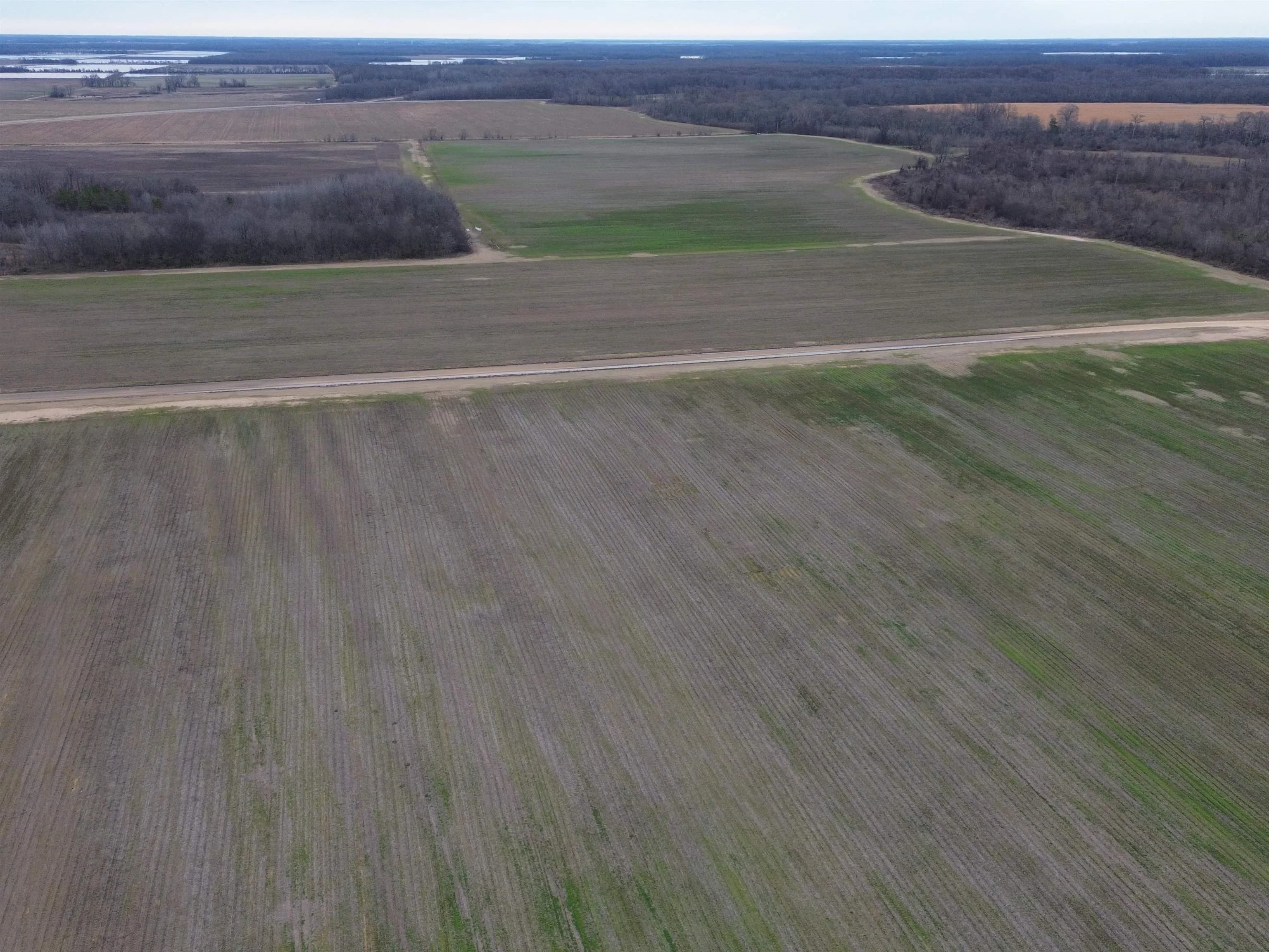 Property at 6000  Hwy 425 - Image 13