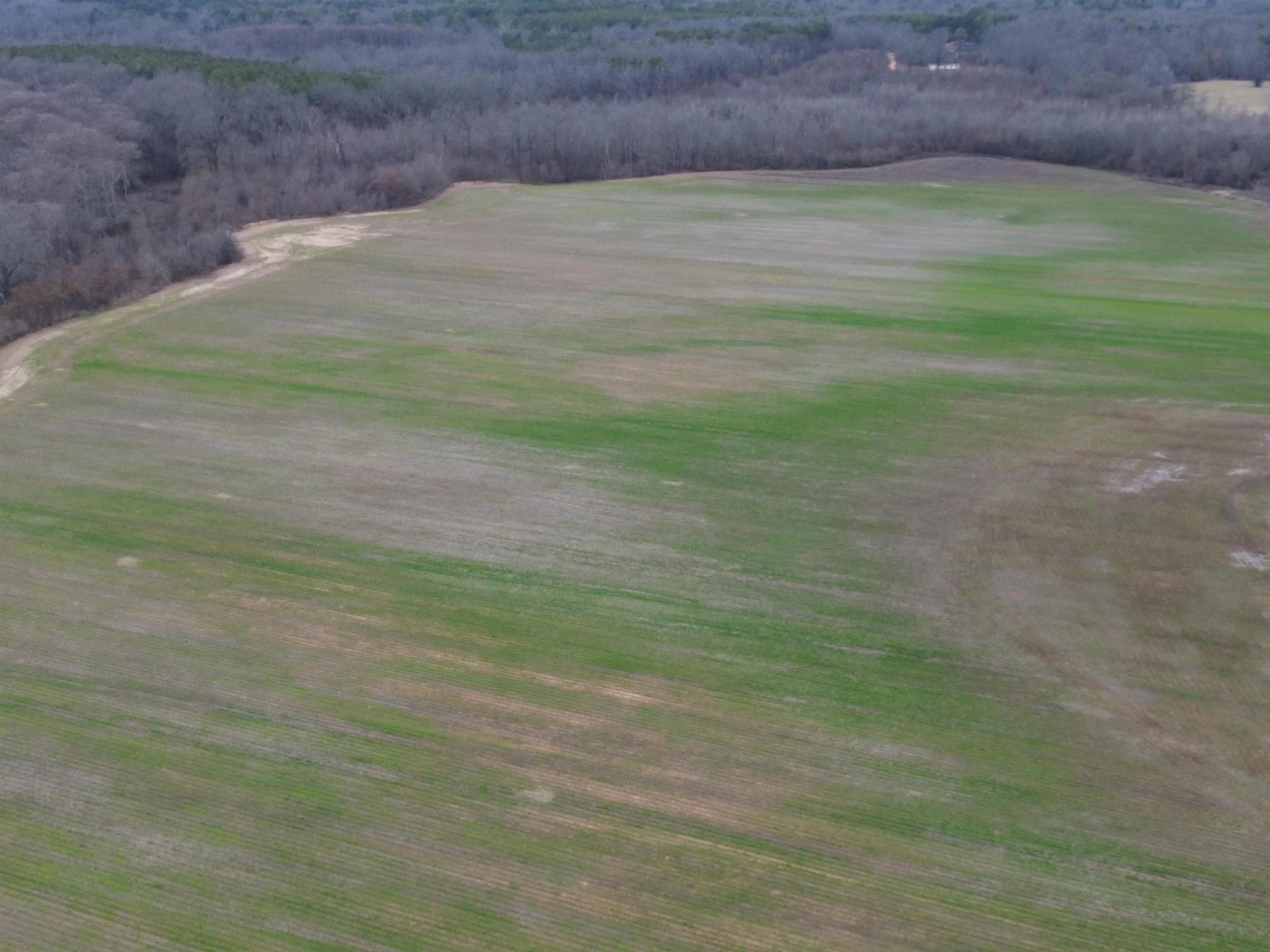 Property at 6000  Hwy 425 - Image 11