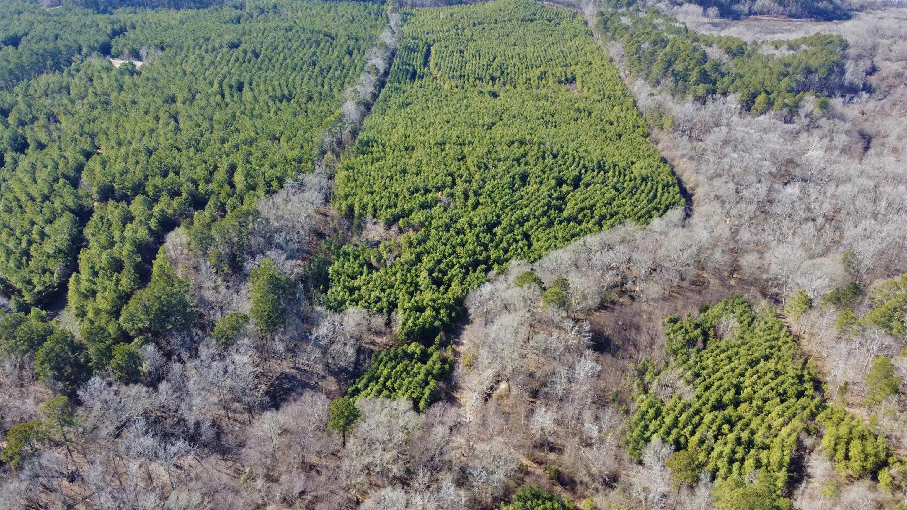 Property at TBD  Hwy 8 - Image 8