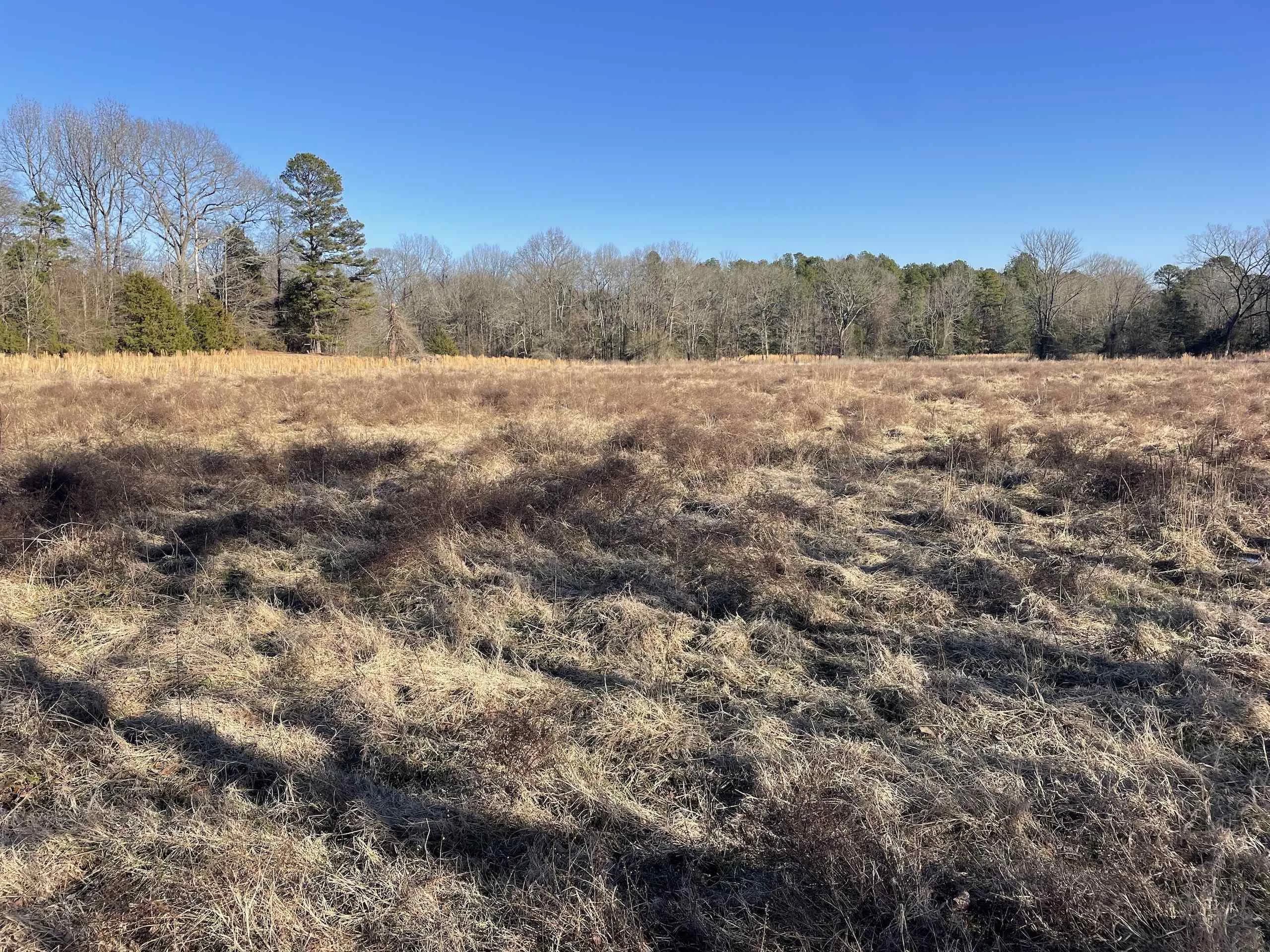 Property at 000  Luker - Image 16
