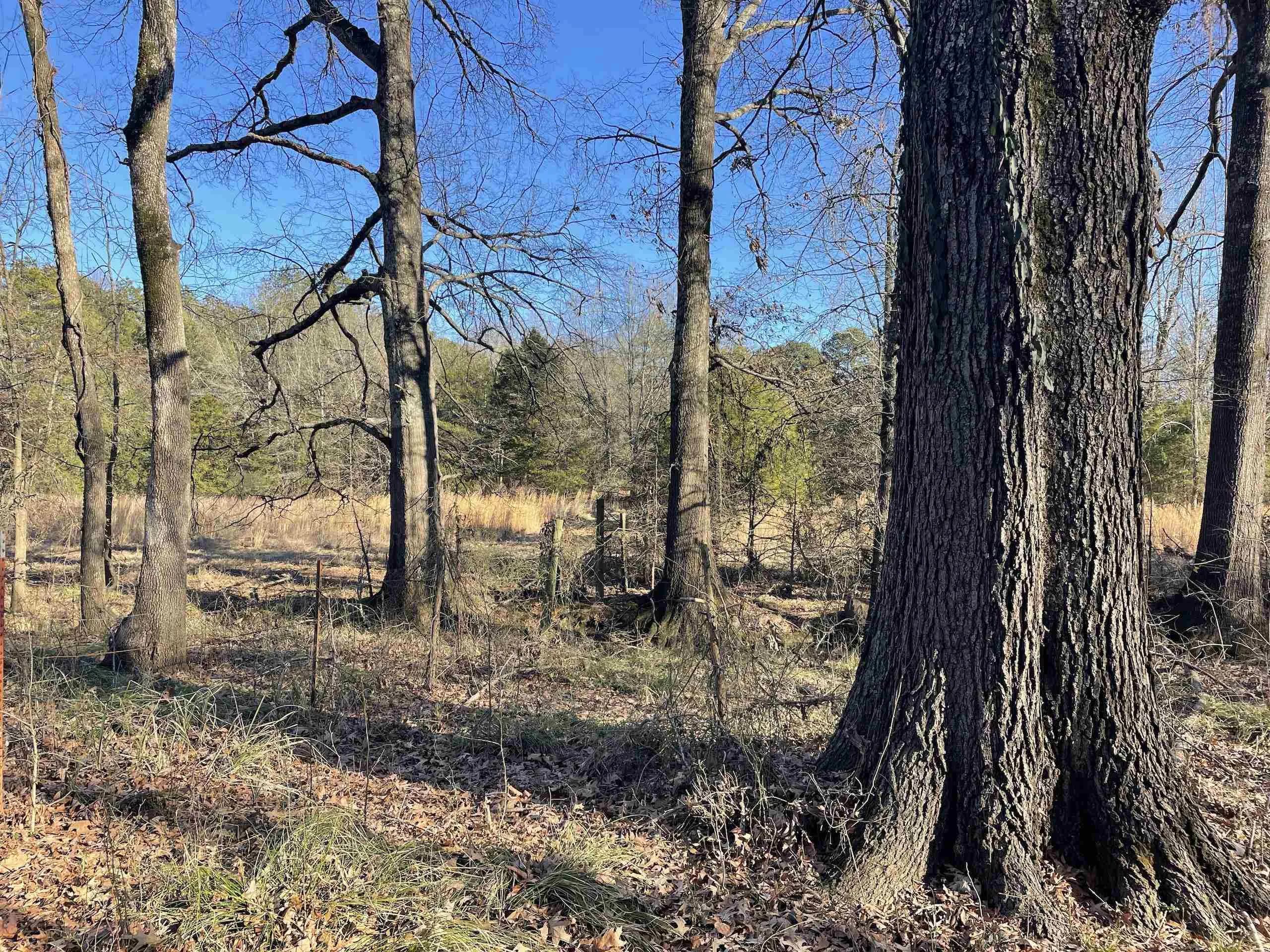 Property at 000  Luker - Image 25