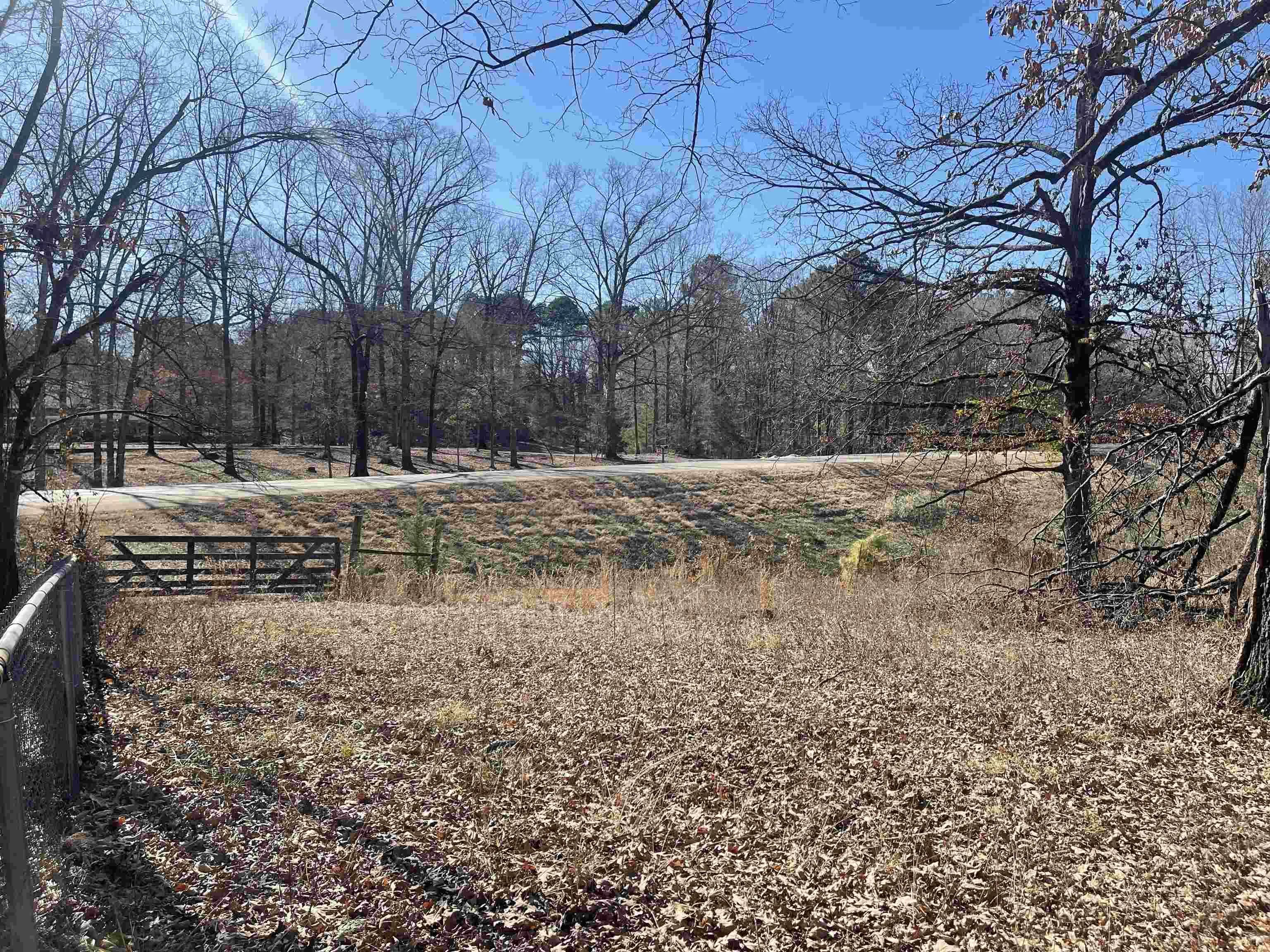 Property at TBD W Hwy 70 - Image 3