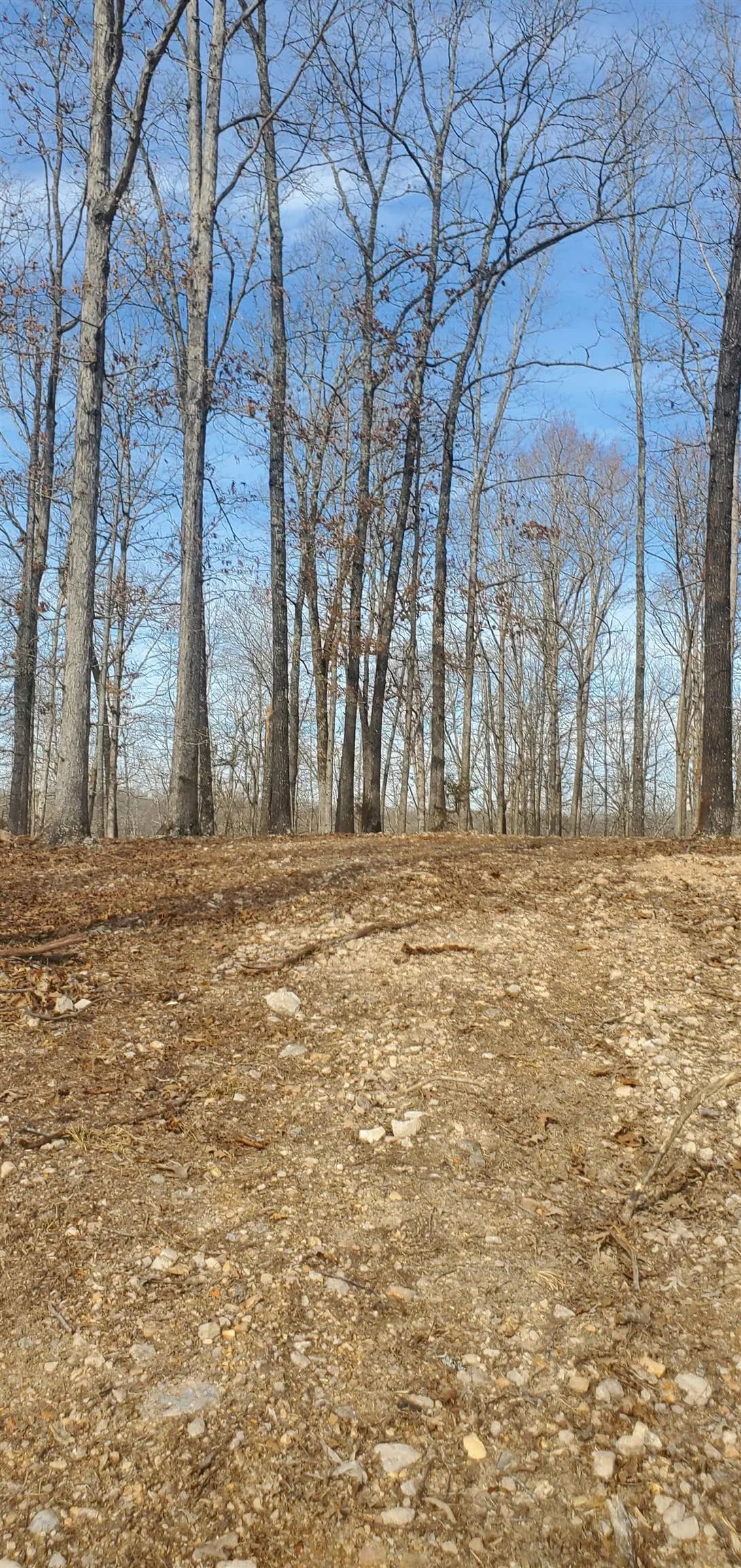 Property at 850 N Ridgeview drive - Image 1