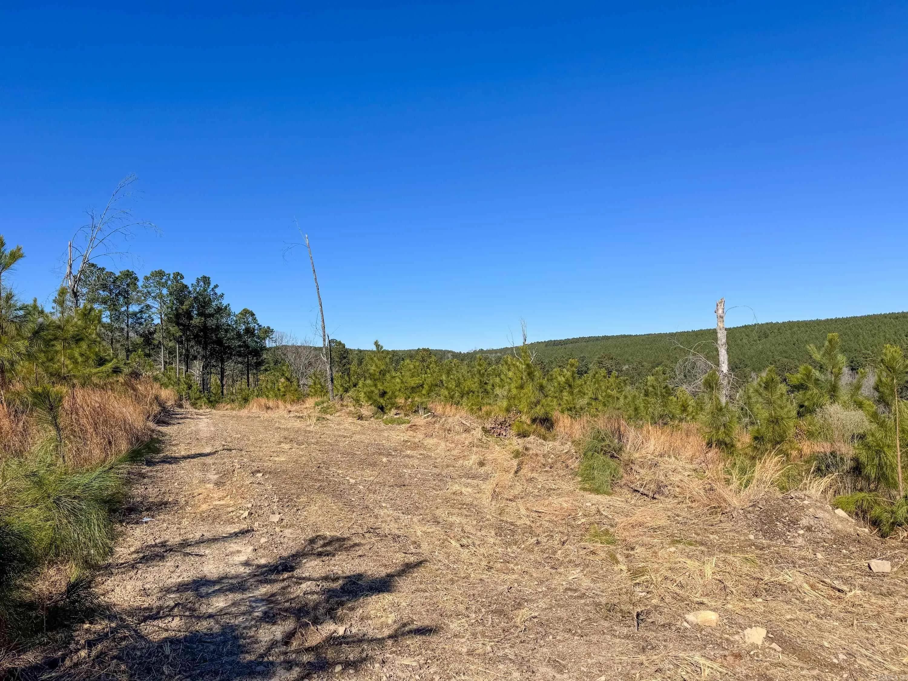 Property at 952  Tarter hill - Image 8