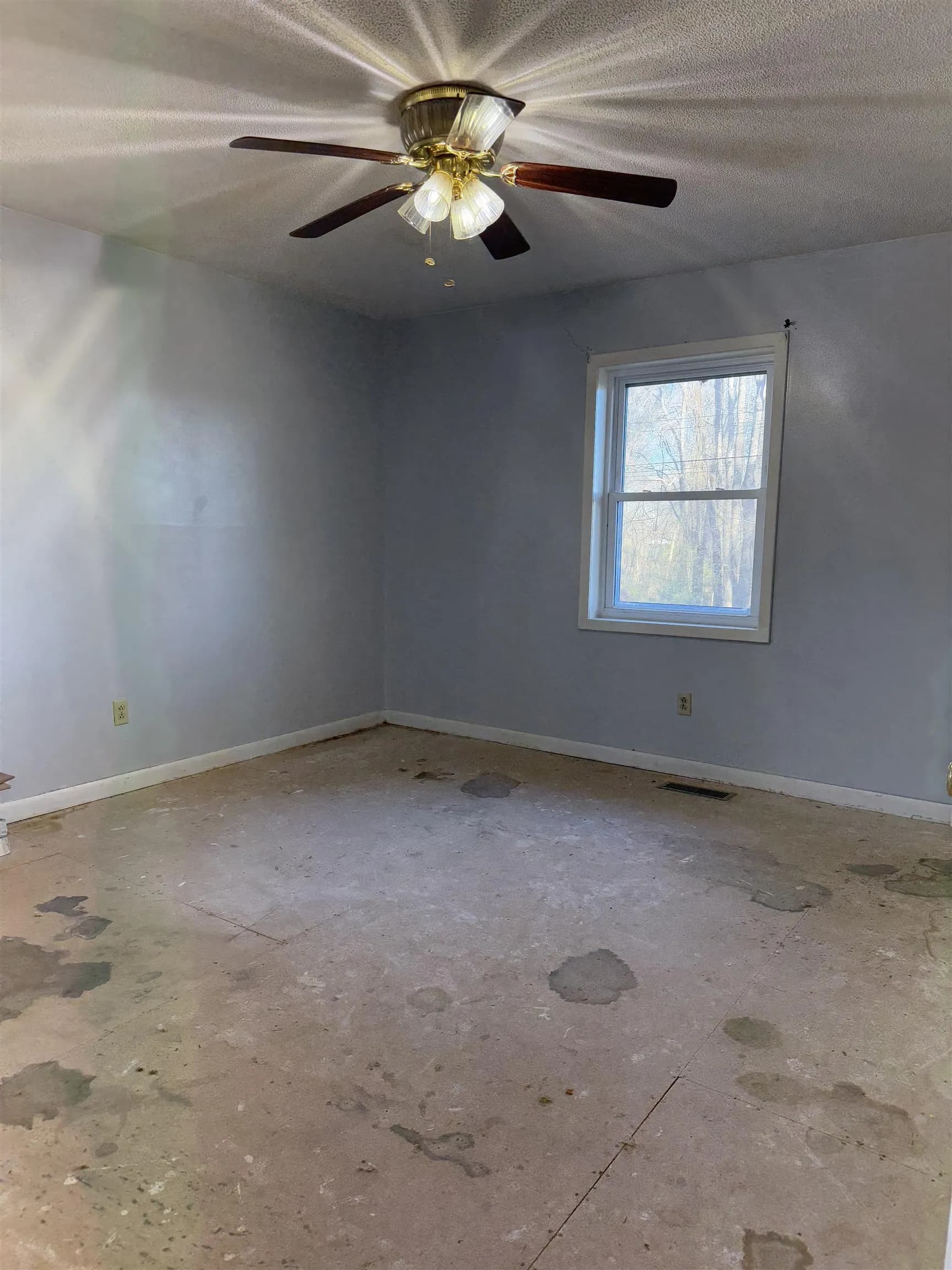 Property at 203  St. renee - Image 12