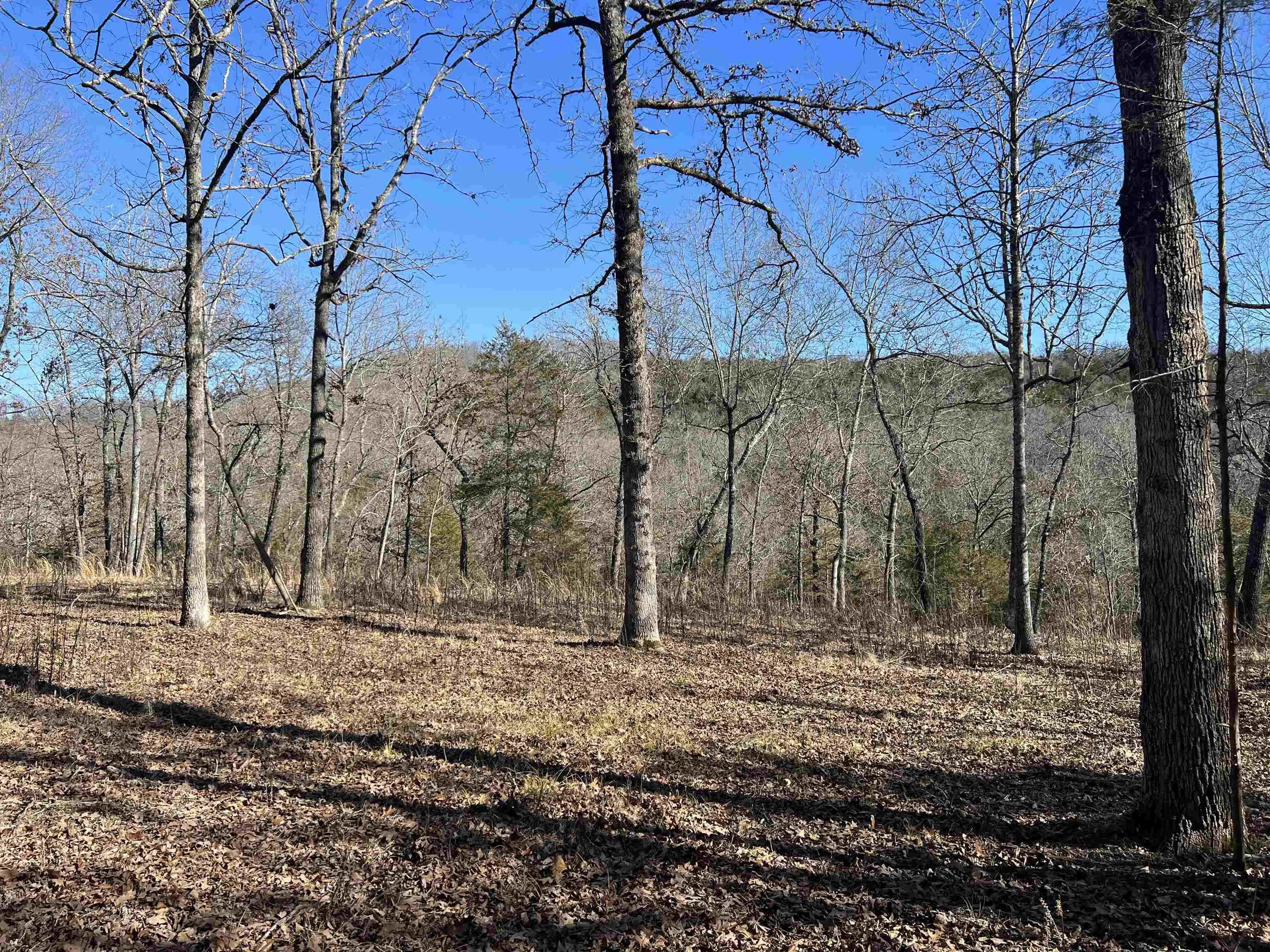 Property at 2216  Meadow creek - Image 11