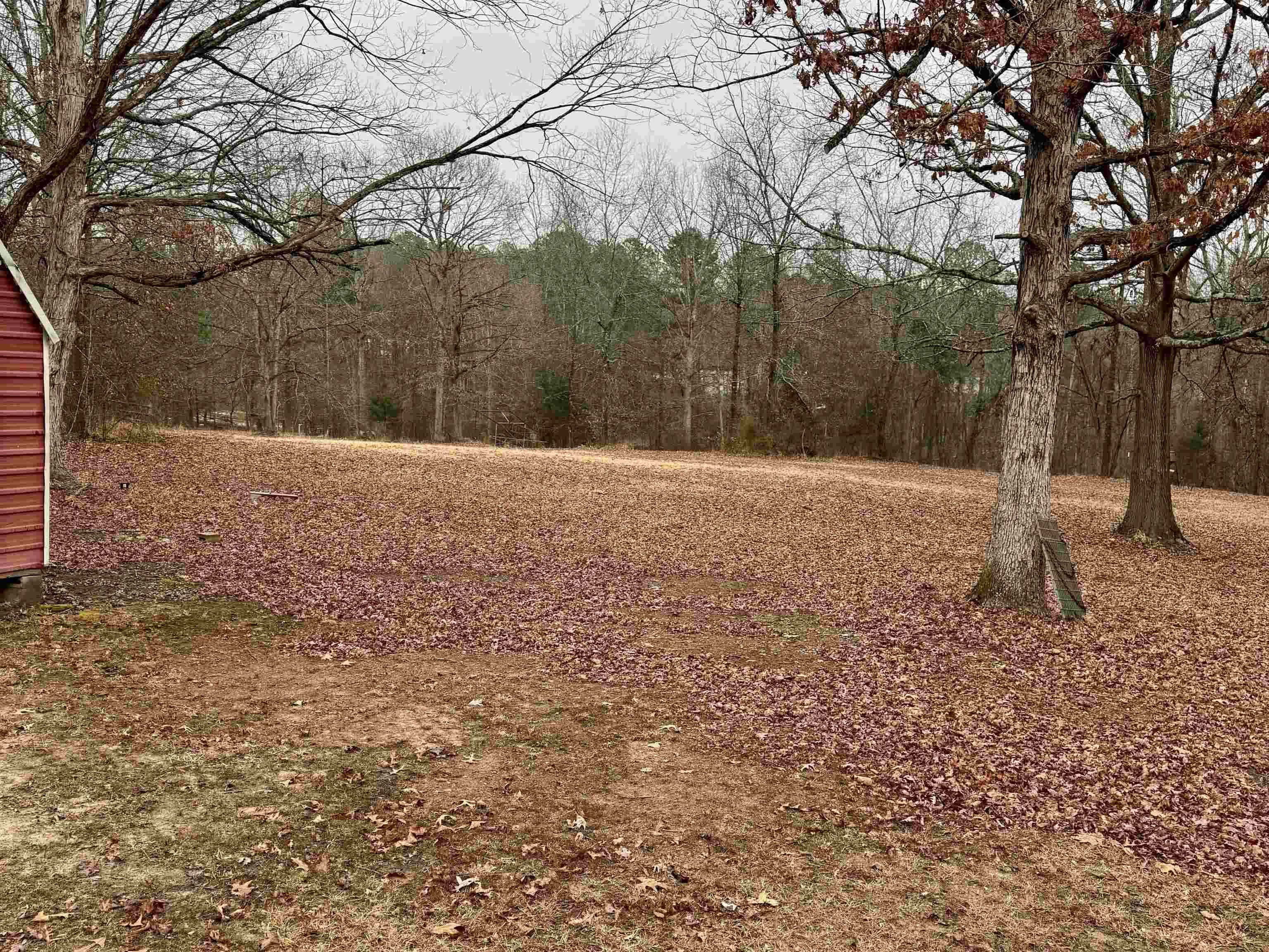 Property at 4906  N. detonti road - Image 37