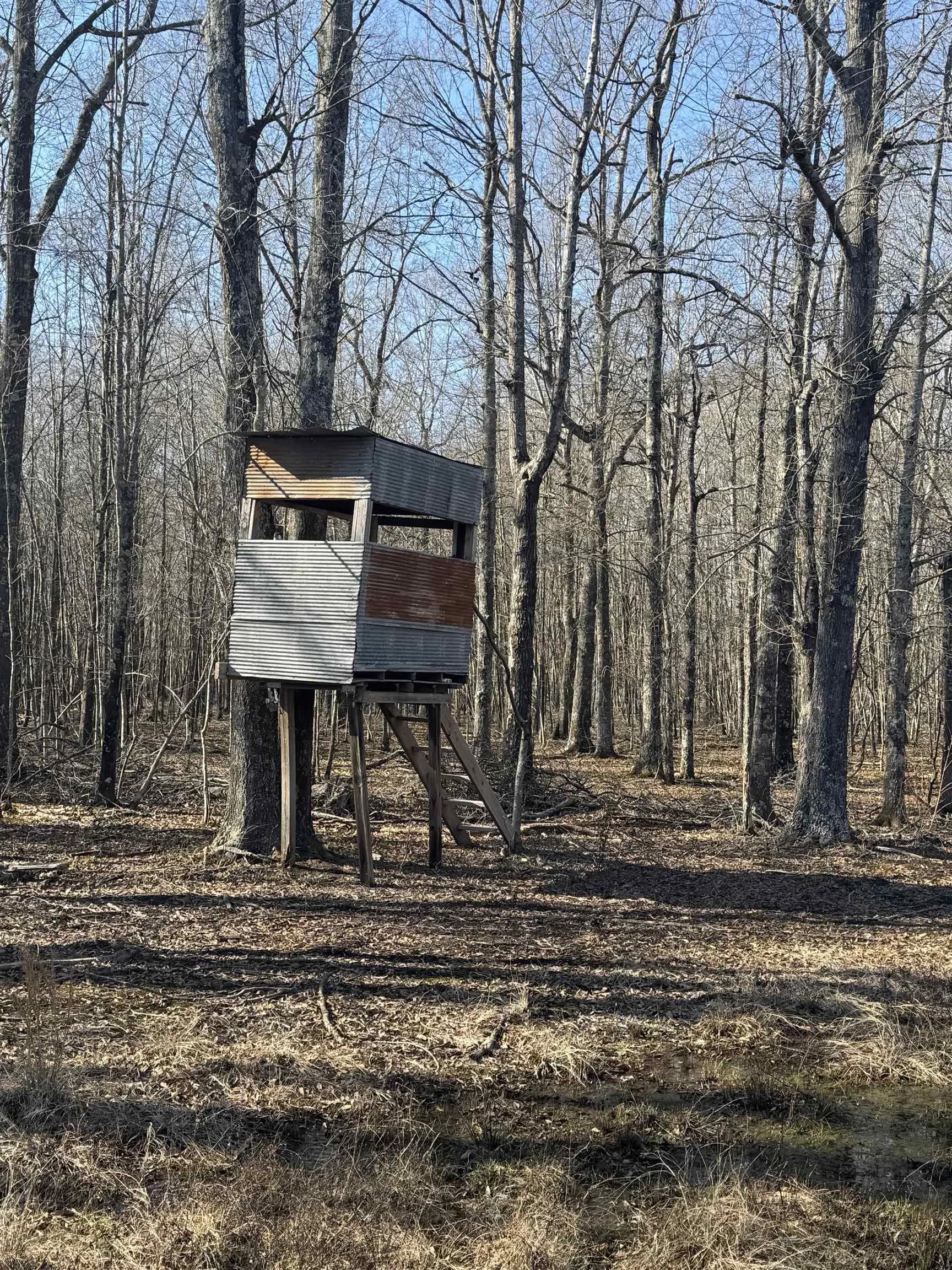 Property at 347  Morrow church rd - Image 7