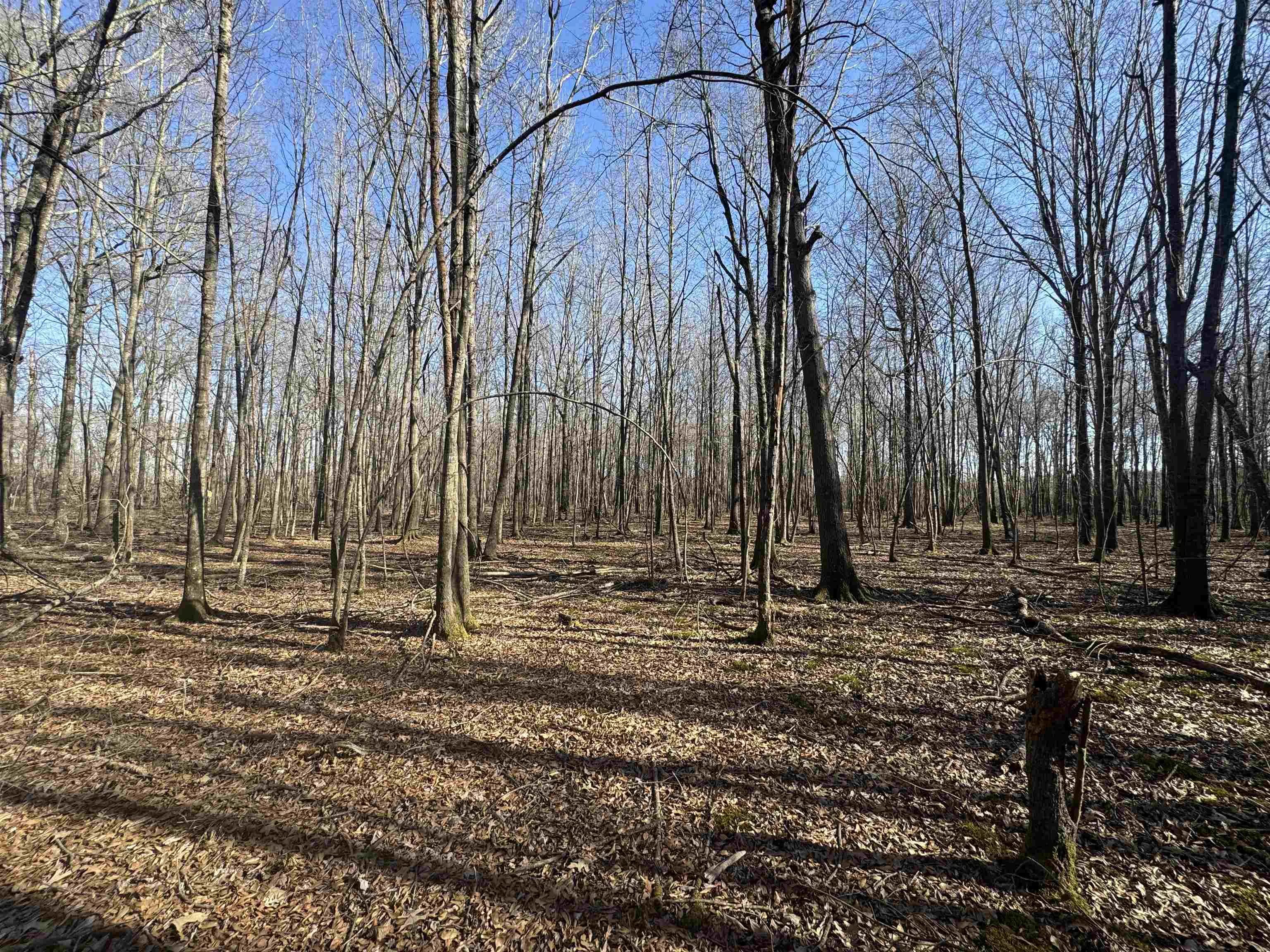Property at 347  Morrow church rd - Image 27