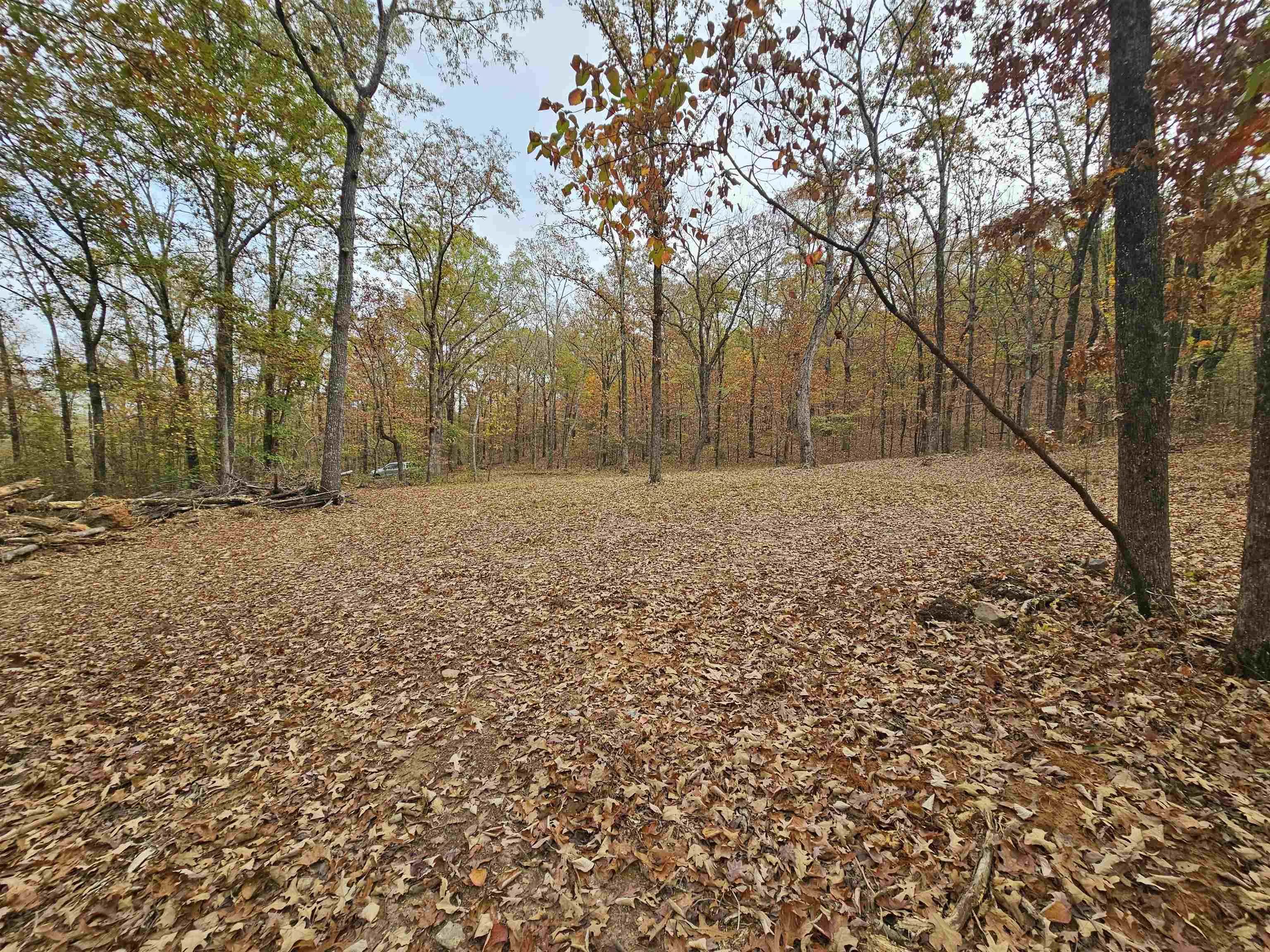 Property at 7501  Dorsey - Image 5