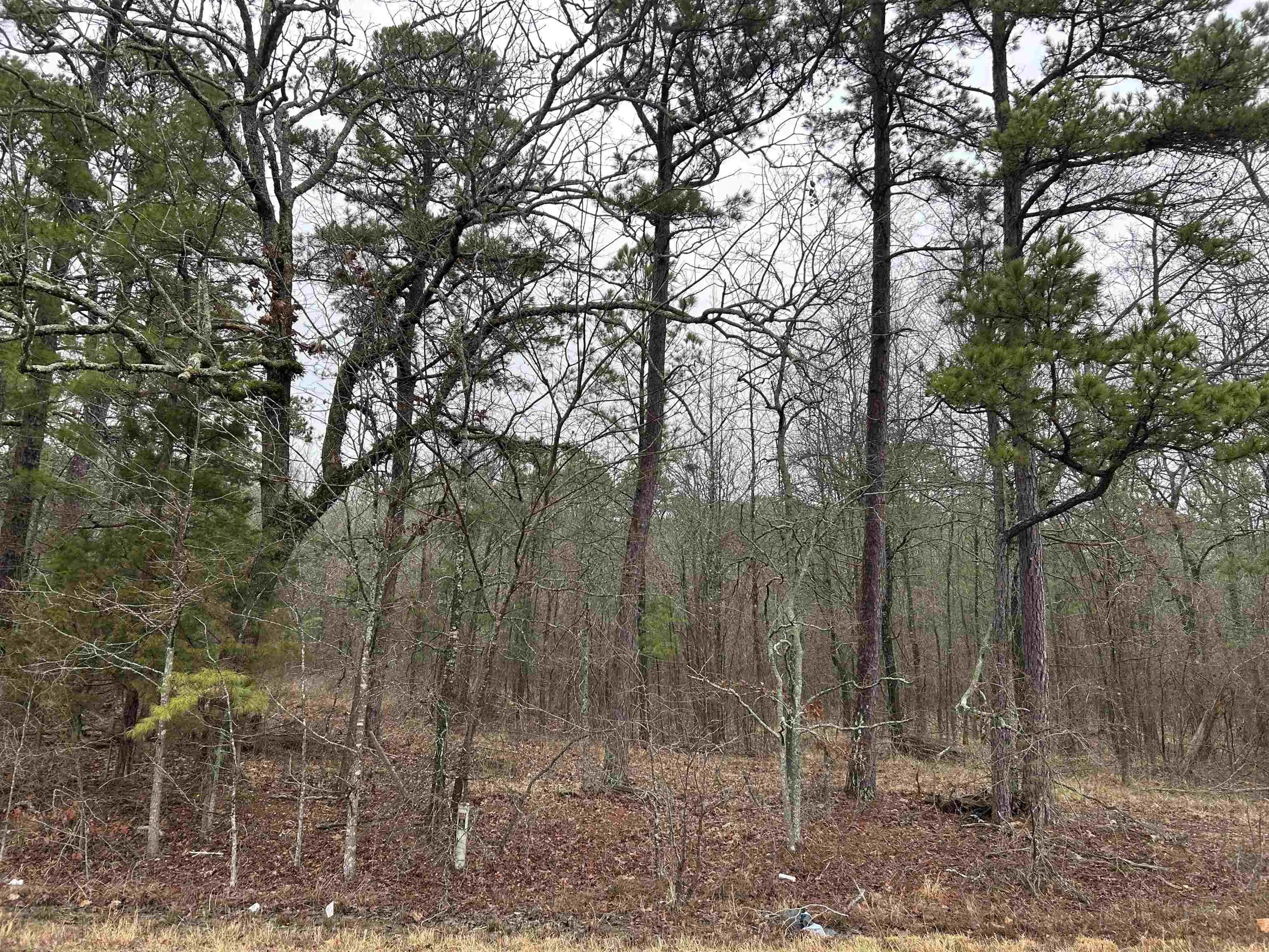 Property at 36610  Kanis - Image 2