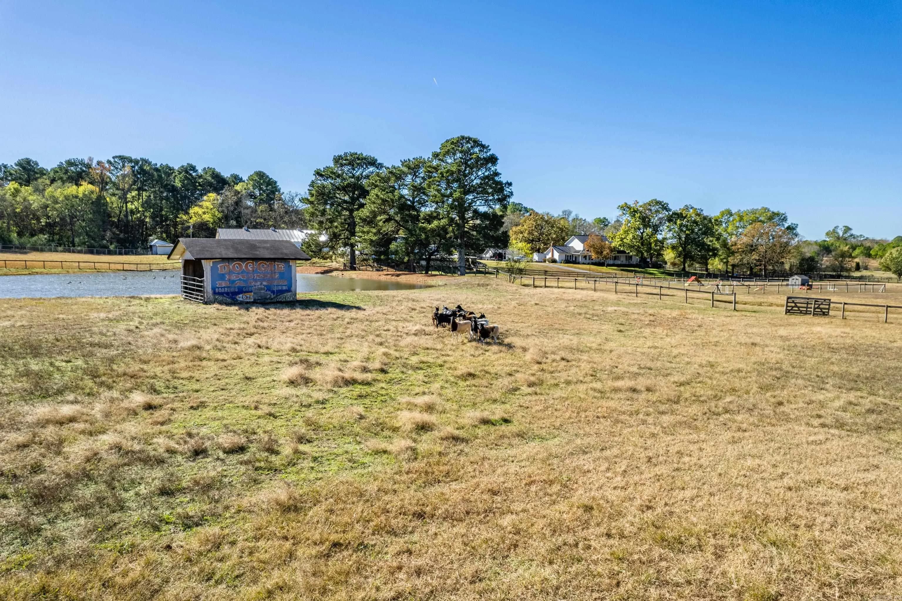 Property at 3799  Albert pike - Image 6