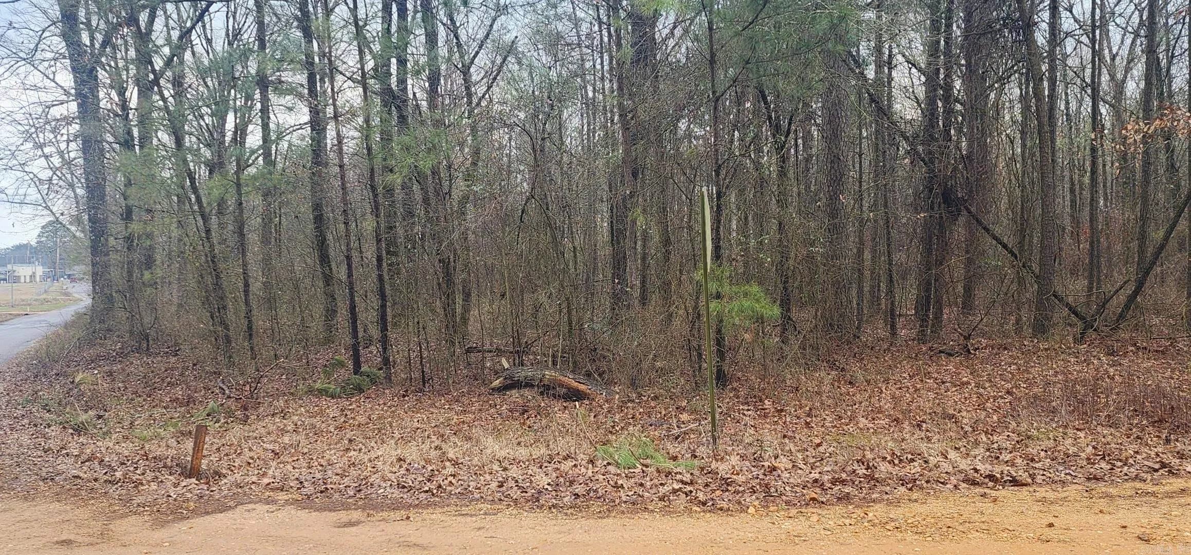 Property at Lot 1  Bear - Image 4